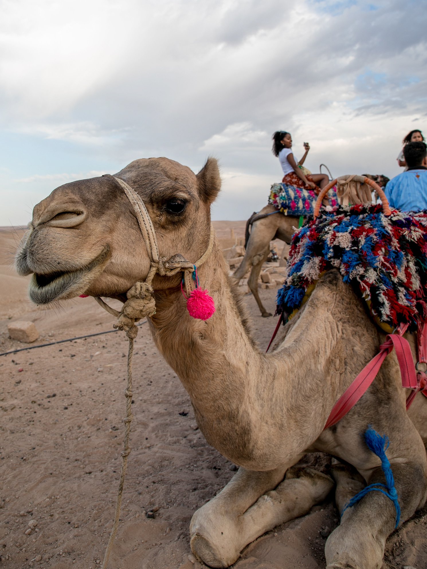 Lilywanderlust-Morocco-Camel-Ride-2017-©LilyHeaton-122.jpeg