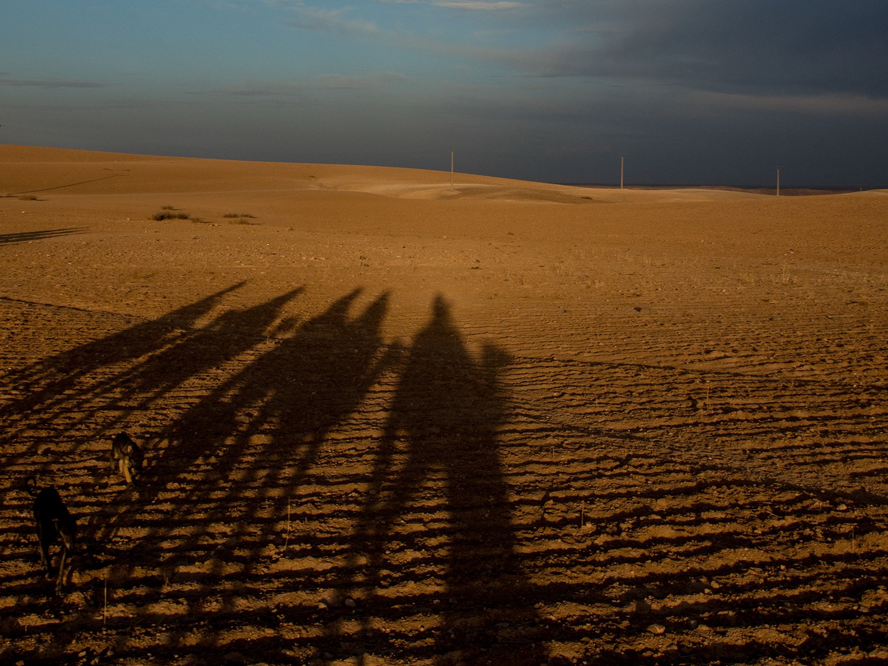 Lilywanderlust-Morocco-Camel-Ride-2017-©LilyHeaton-115.jpeg