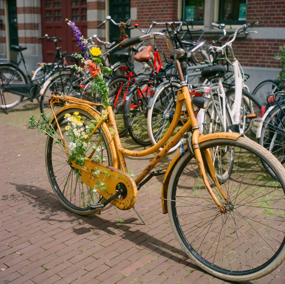 YellowBike-Rolleiflex-Pro400H-©LilyHeaton2024-12.jpg