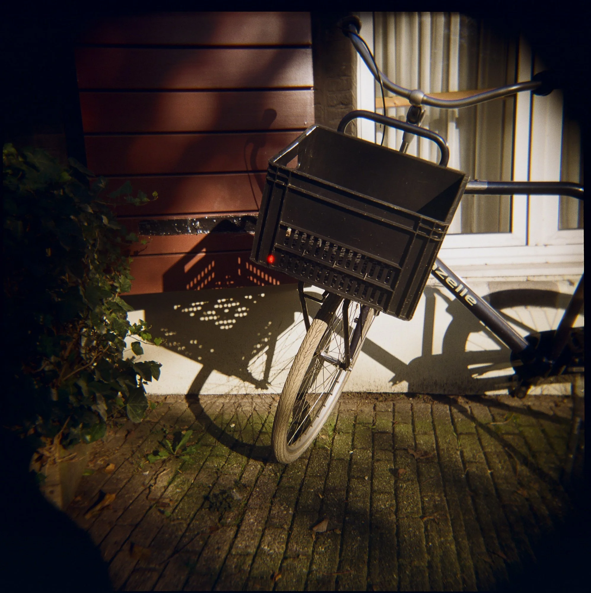 Holga-Week-Amsterdam©LilyHeaton2024-06.jpeg