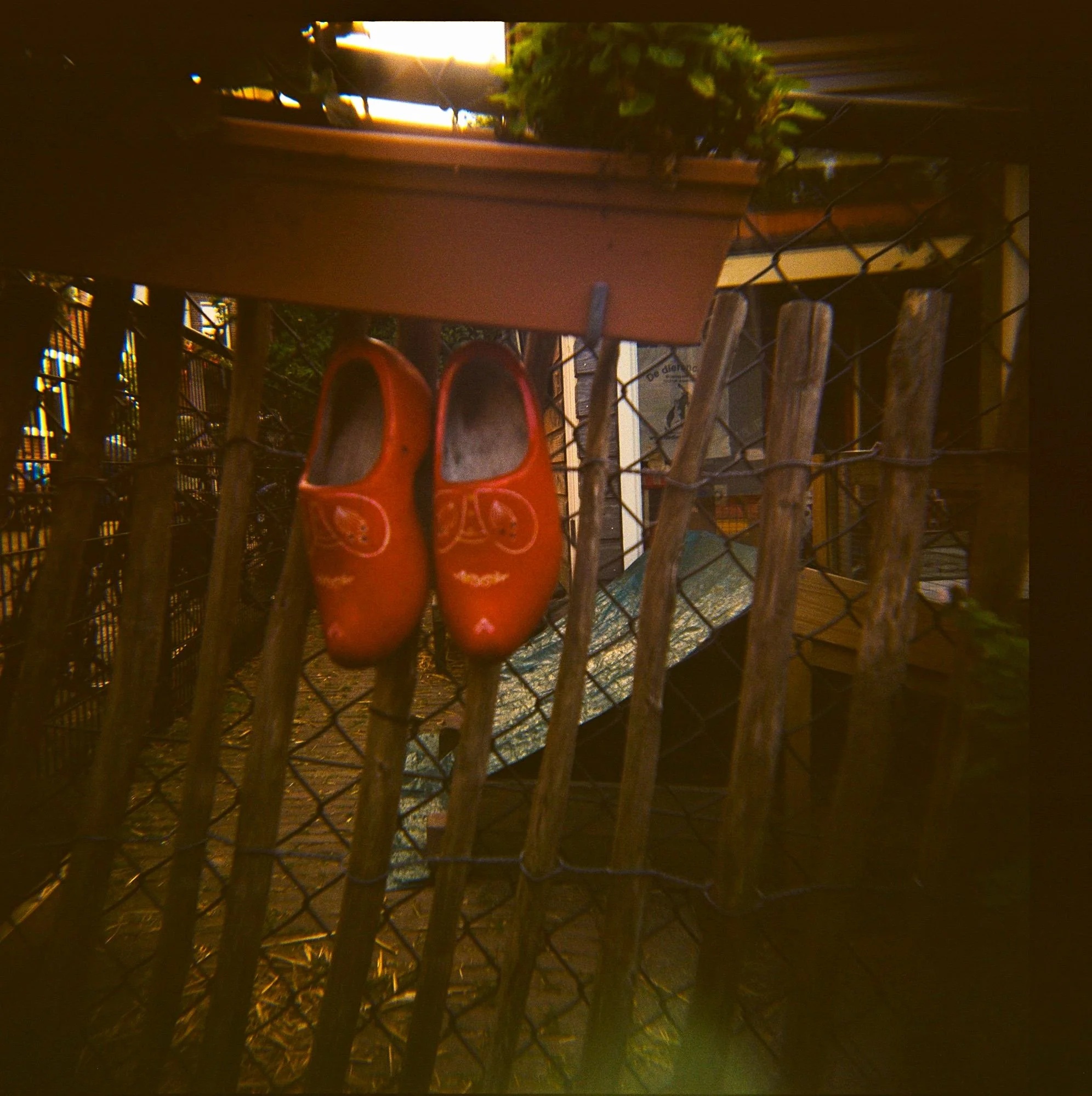 Holga-Week-Amsterdam©LilyHeaton2024-09.jpeg