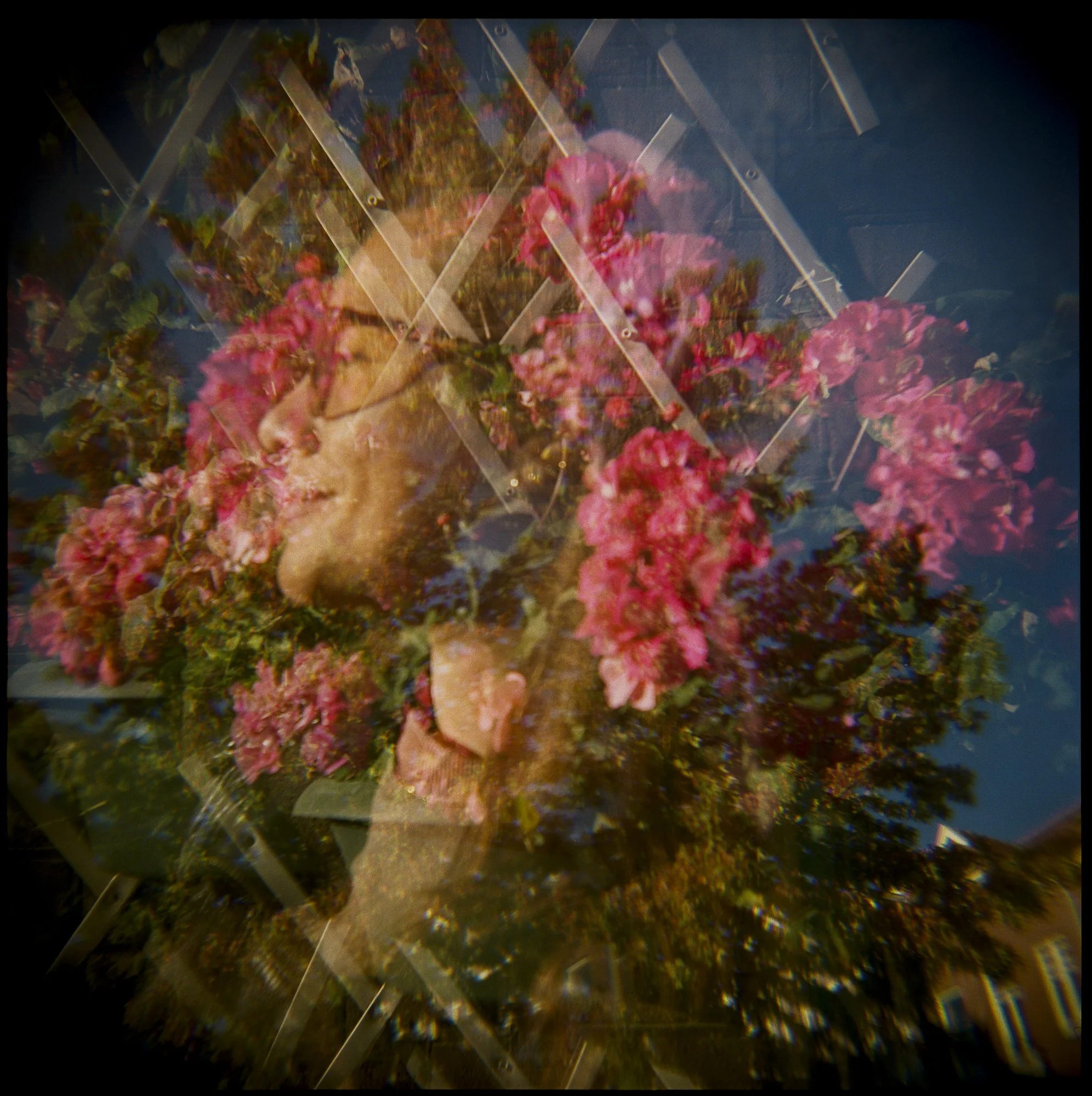 Holga-Week-Amsterdam©LilyHeaton2024-03.jpeg