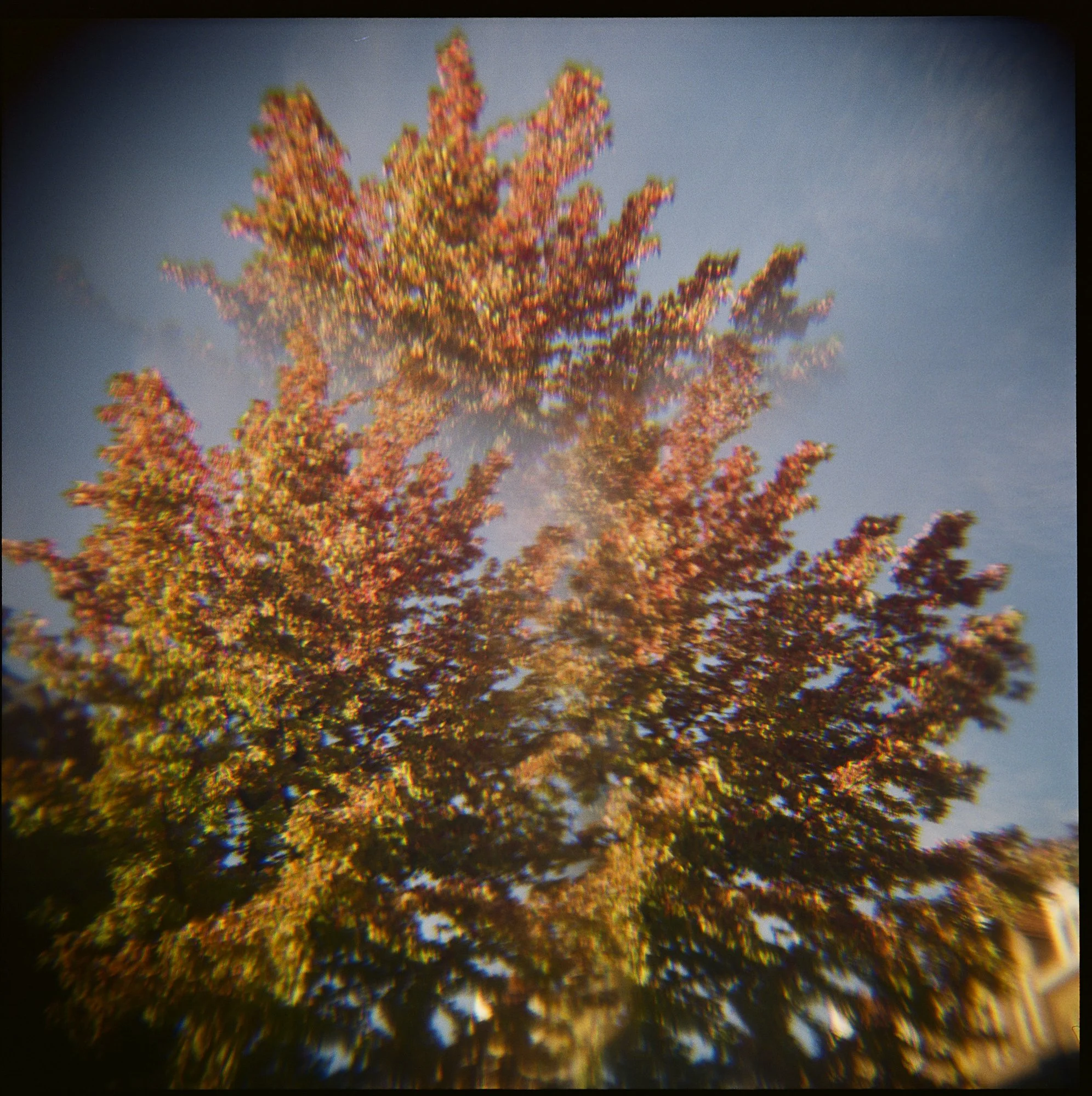 Holga-Week-Amsterdam©LilyHeaton2024-02.jpeg