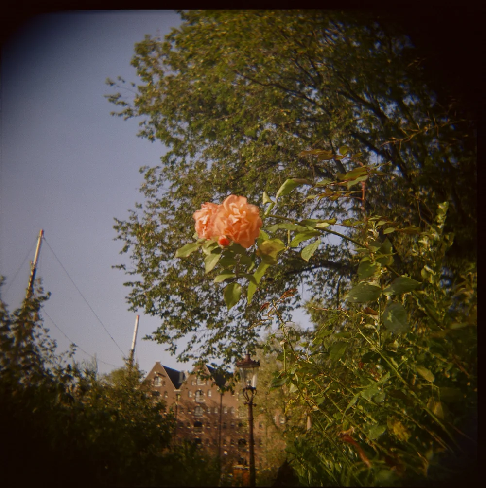 Holga-Week-Amsterdam©LilyHeaton2024-07.jpeg