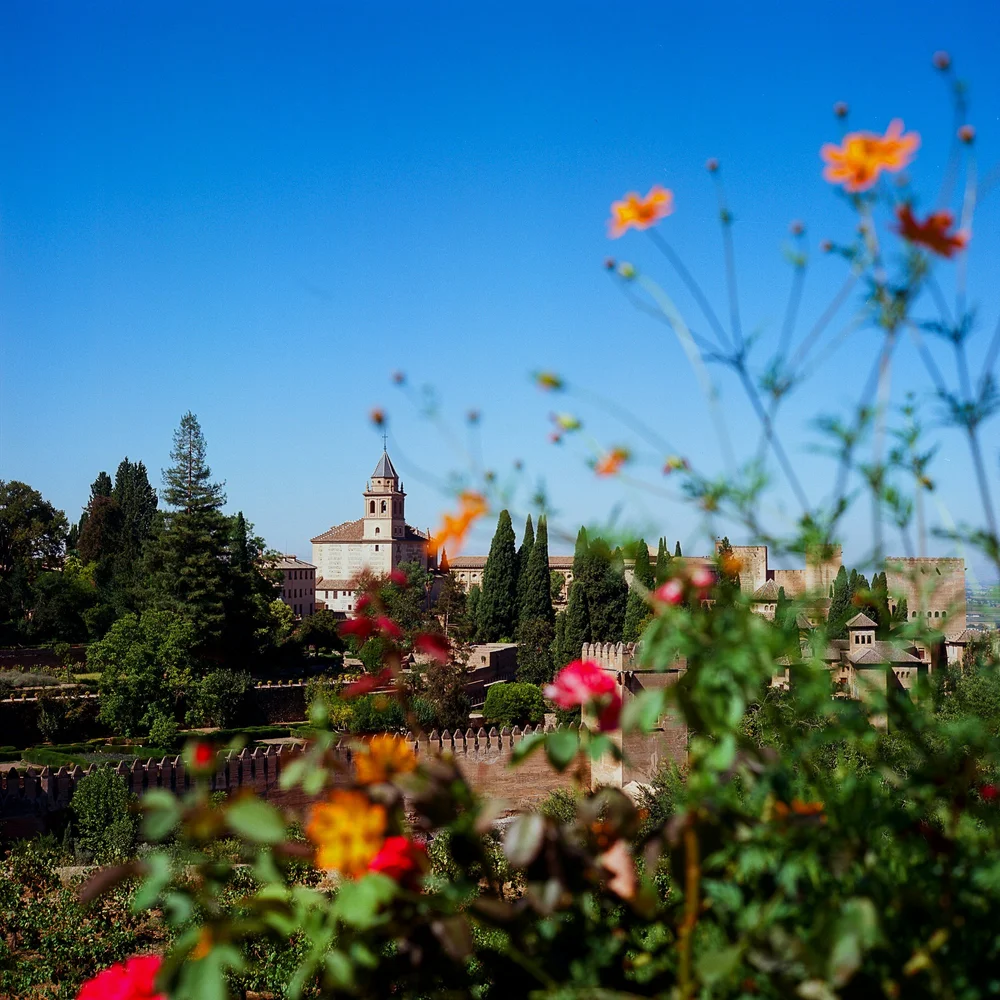 LilyWanderlust-Alhambra-Generalife-Gardens-Kodak-Ektar-©LilyHeaton2024-04.jpg