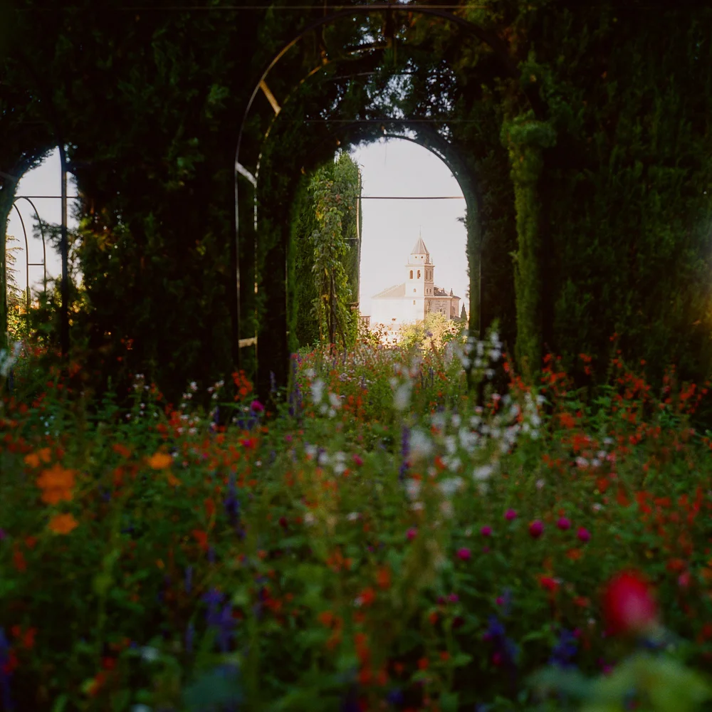 LilyWanderlust-Alhambra-Generalife-Gardens-Kodak-Gold-©LilyHeaton2024-02.jpg