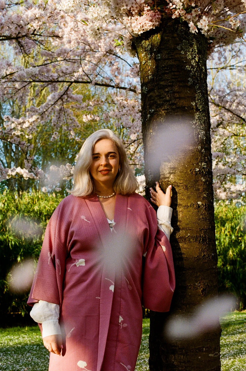 Cherryblossom-Amsterdam-Spring-Nikon-Fuji-2025©LilyHeaton-02.jpg