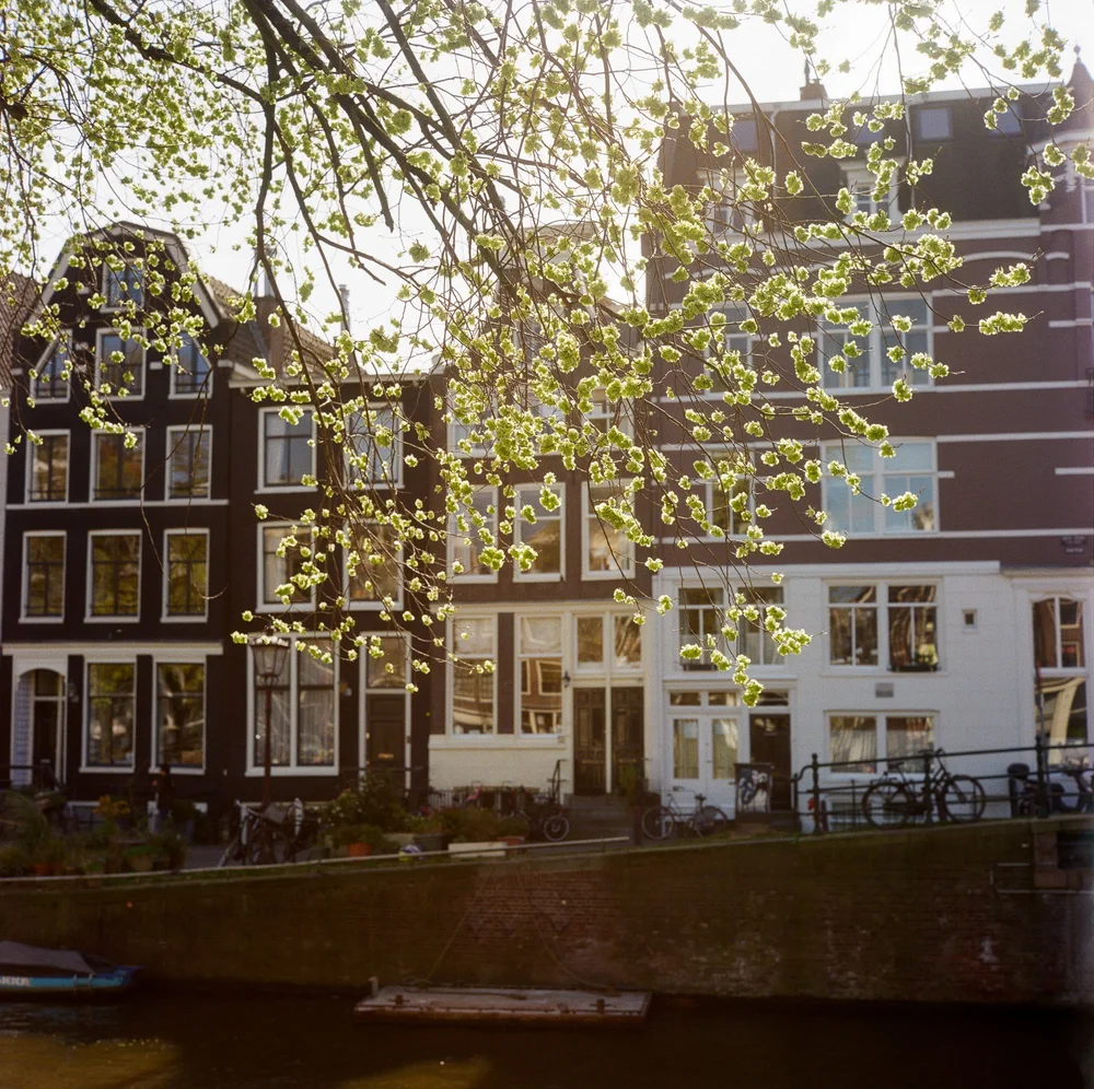 LilyWanderlust-Amsterdam-Rolleiflex-Lomo400-Spring-2025-©LilyHeaton-08.jpg