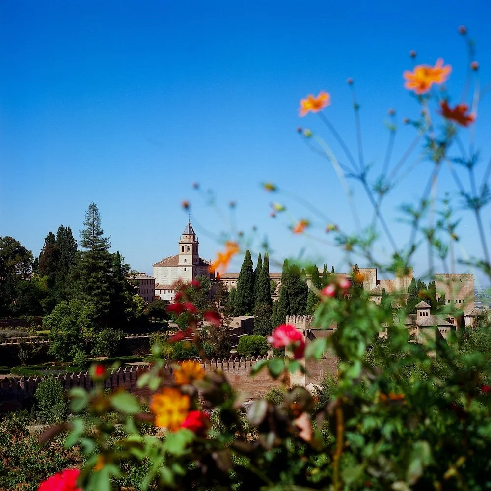 LilyWanderlust-Alhambra-Generalife-Gardens-Kodak-Ektar-©LilyHeaton2024-04.jpg