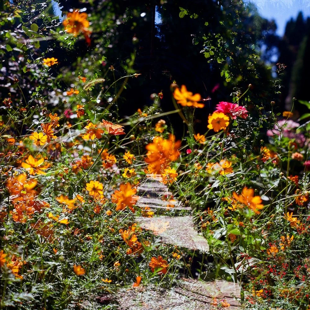 LilyWanderlust-Alhambra-Generalife-Gardens-Kodak-Ektar-©LilyHeaton2024-05.jpg