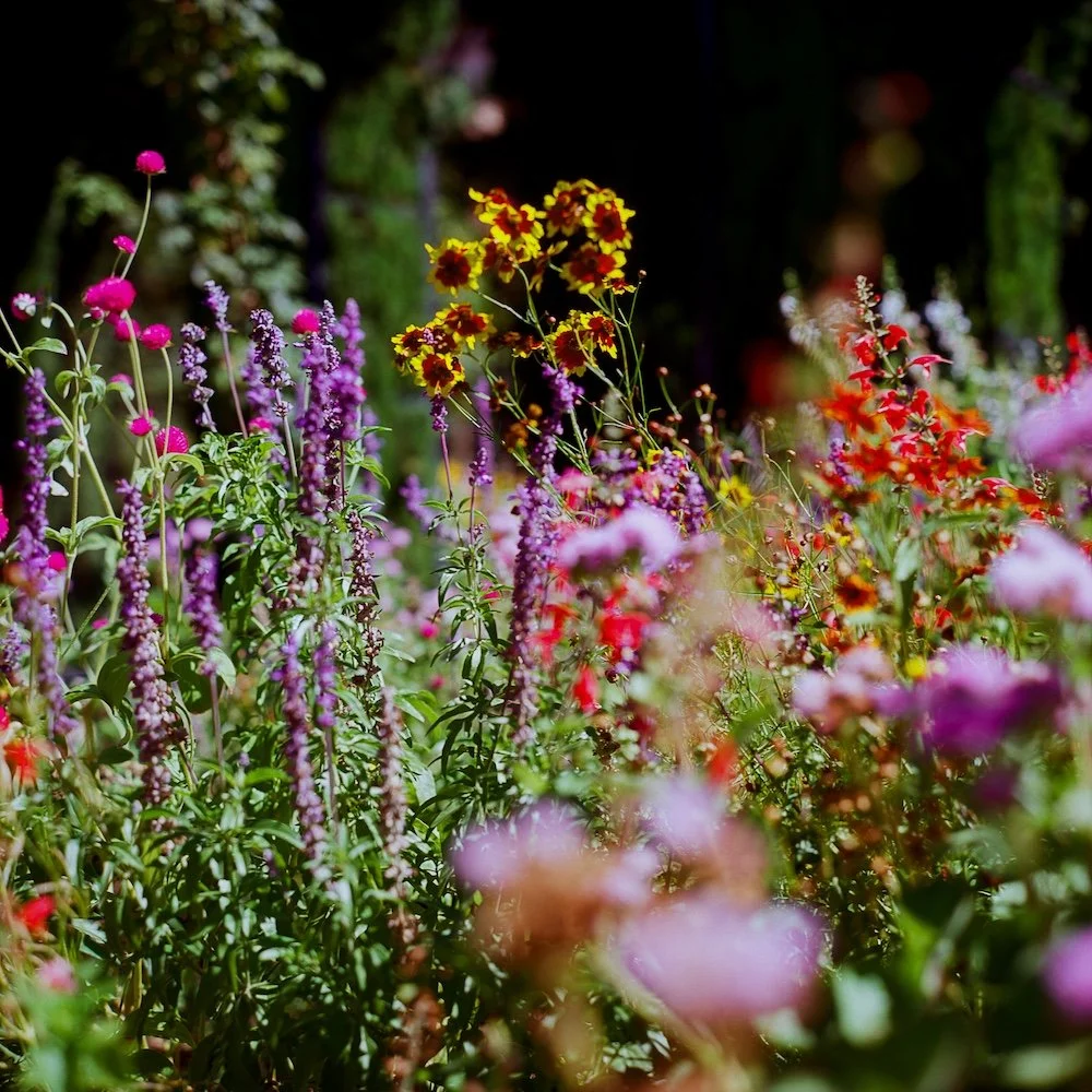 LilyWanderlust-Alhambra-Generalife-Gardens-Kodak-Ektar-©LilyHeaton2024-07.jpg