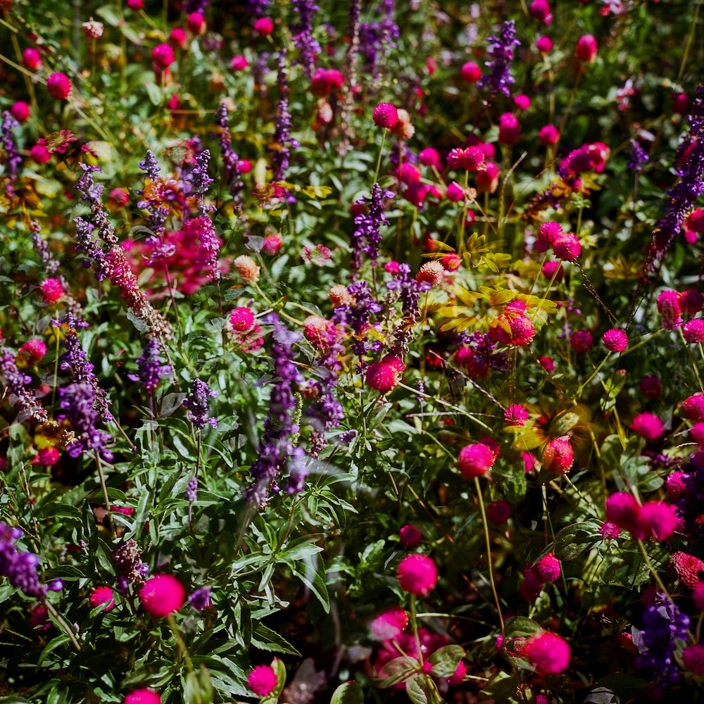 LilyWanderlust-Alhambra-Generalife-Gardens-Kodak-Ektar-©LilyHeaton2024-08.jpg