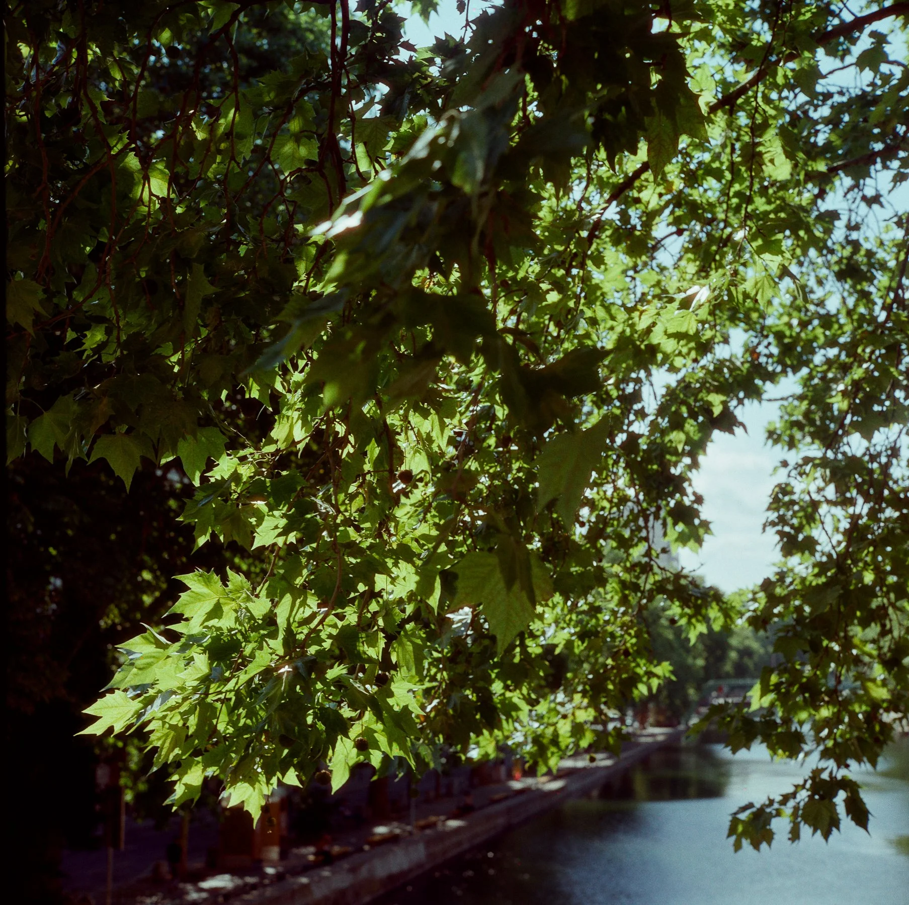 LilyWanderlust-Paris-Rolleiflex-Opticolor200©Lily Heaton 2025-04.jpg