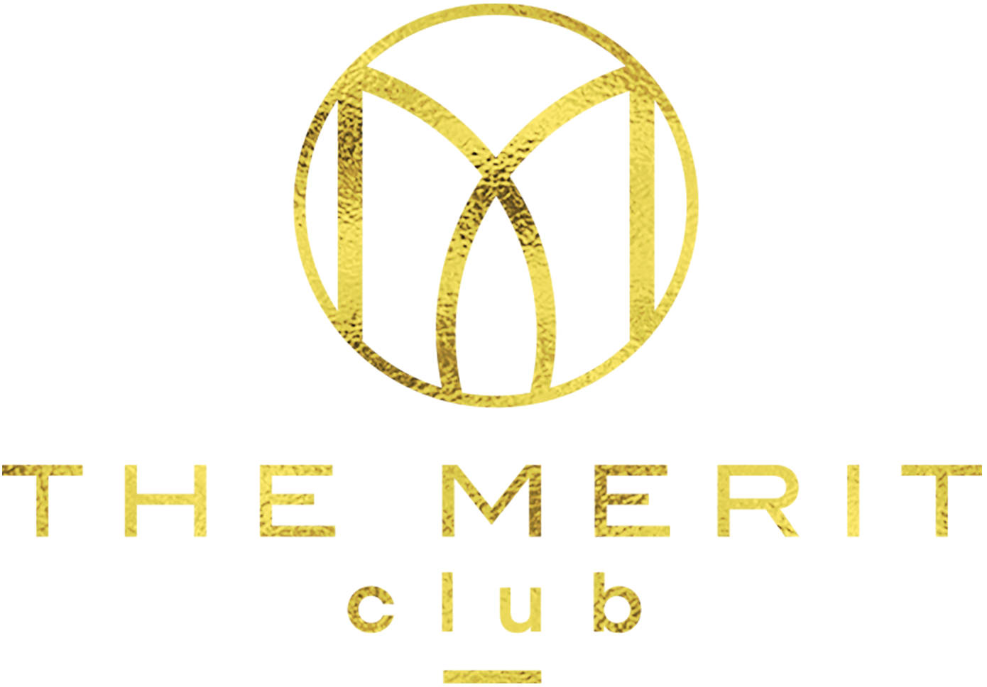 THE NEW WAVE OF NETWORKING?: THE MERIT CLUB