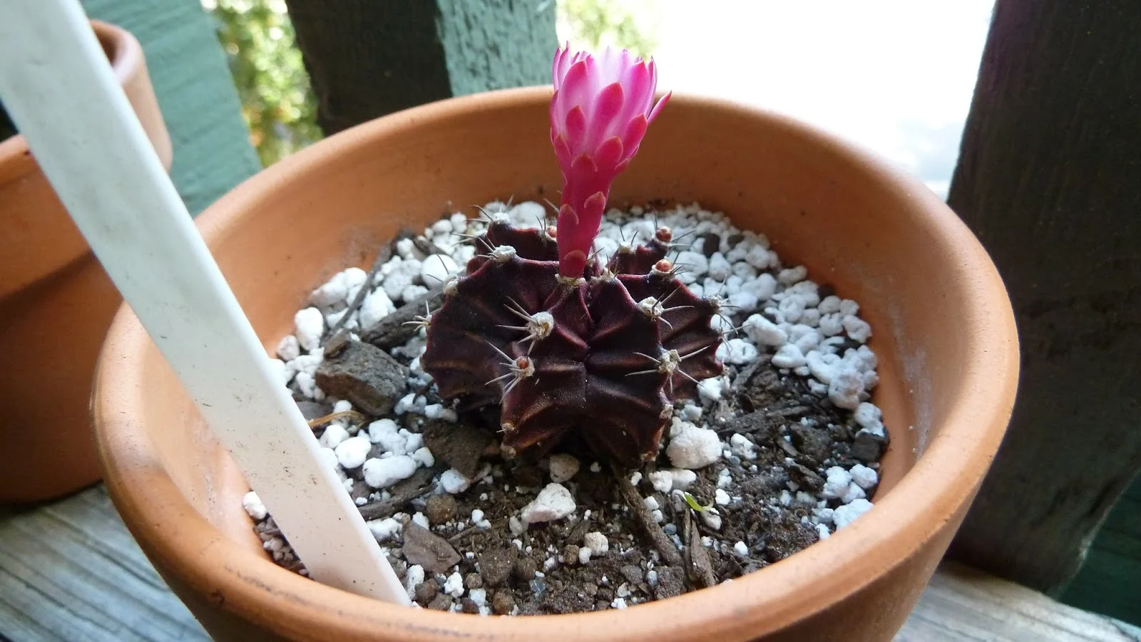 P1080310.JPG