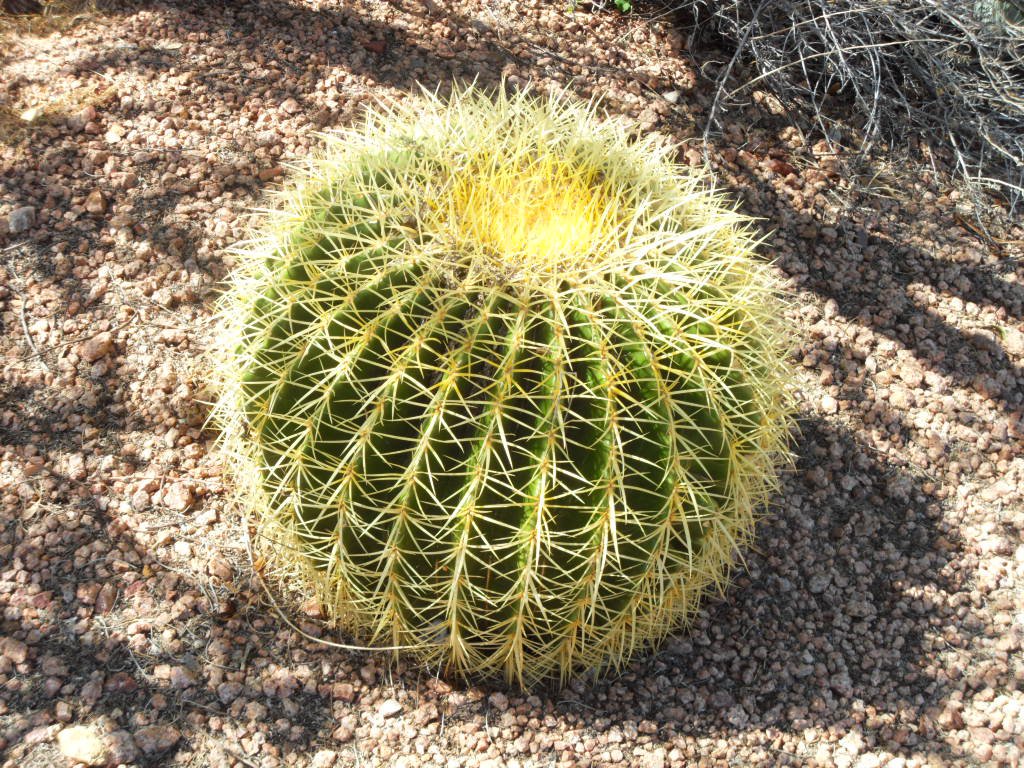 170597_107886169289992_2059048_o.jpg