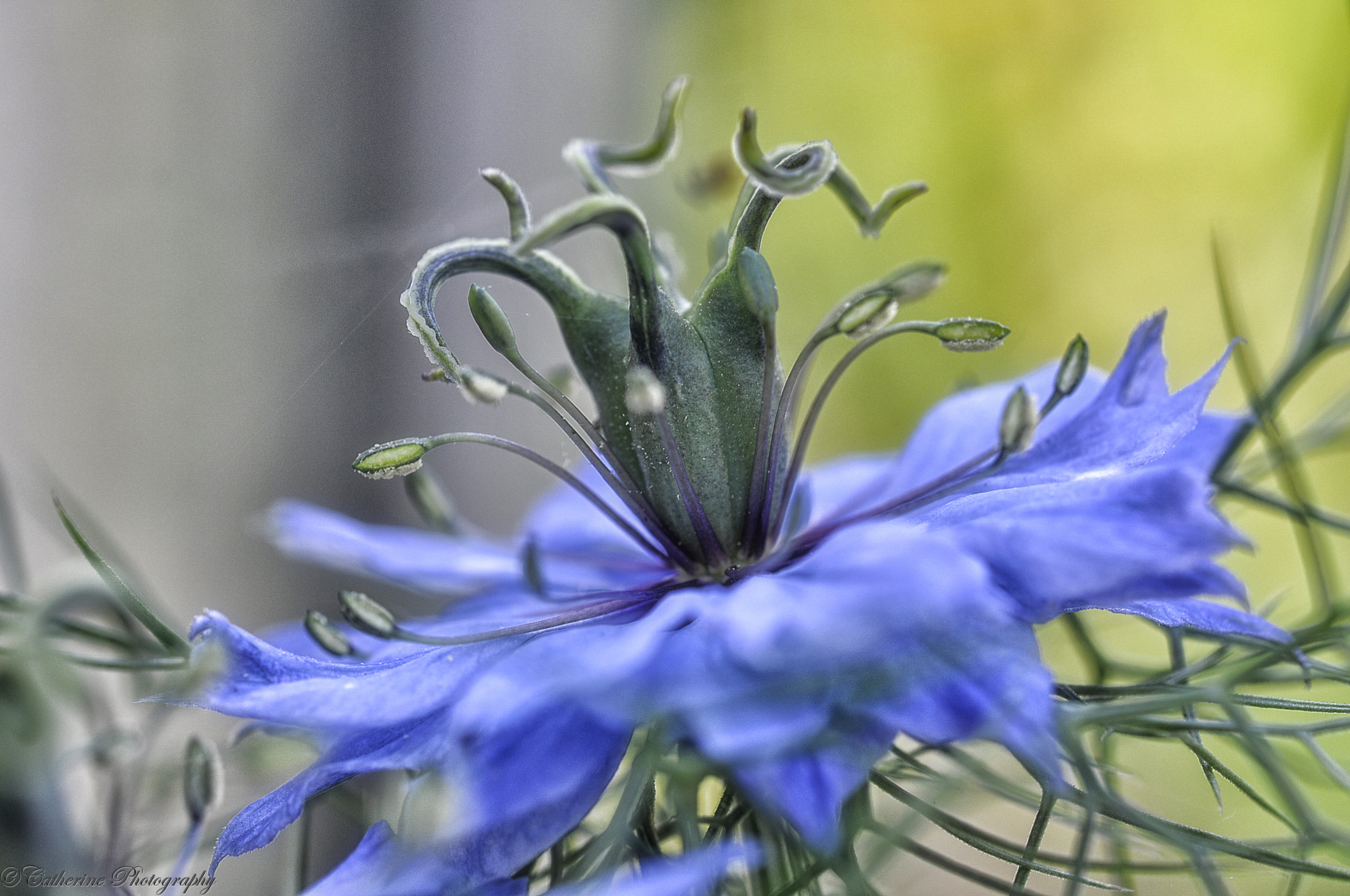 dsc0778-1.jpg