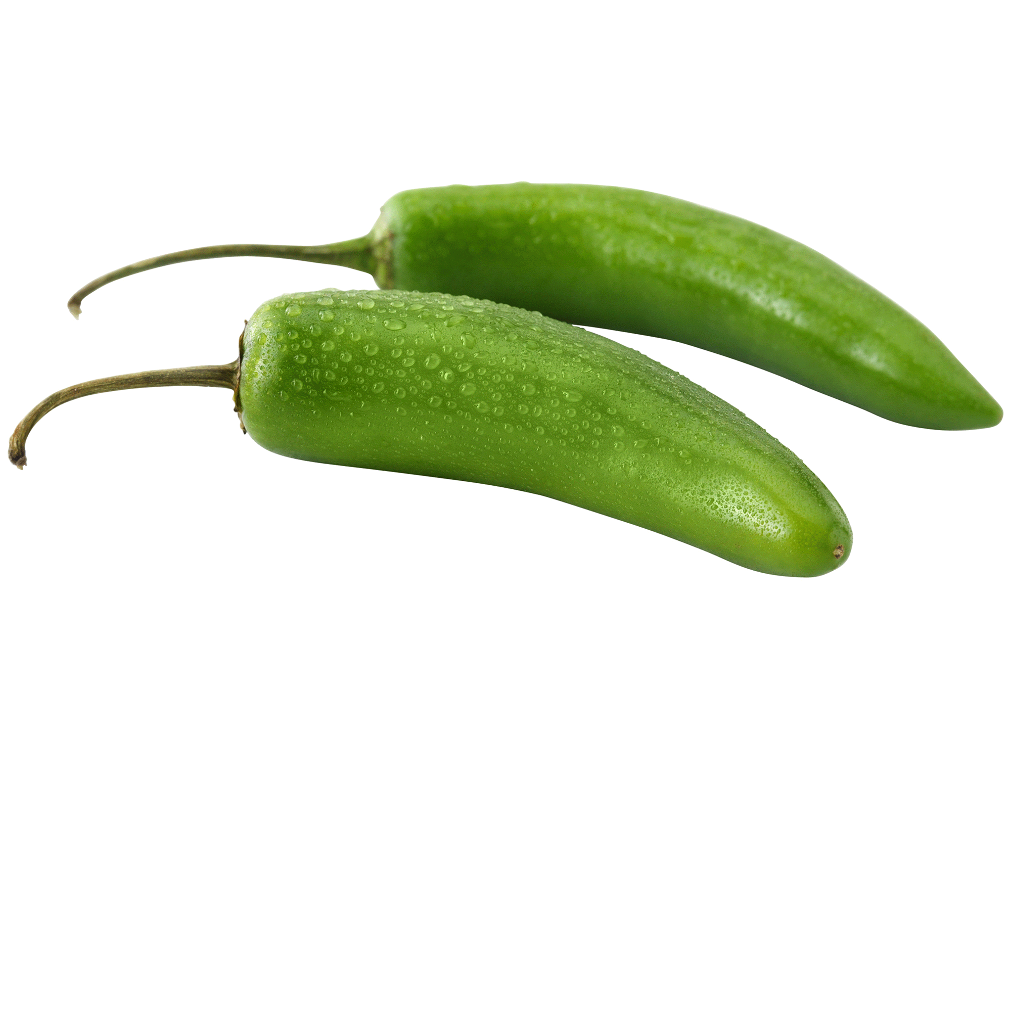 0000000047098_a1c1_2000.png