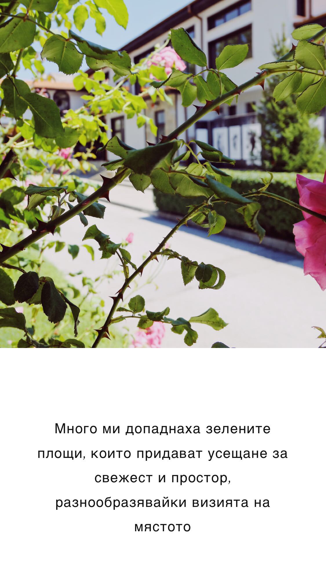 IMG_4138.jpeg