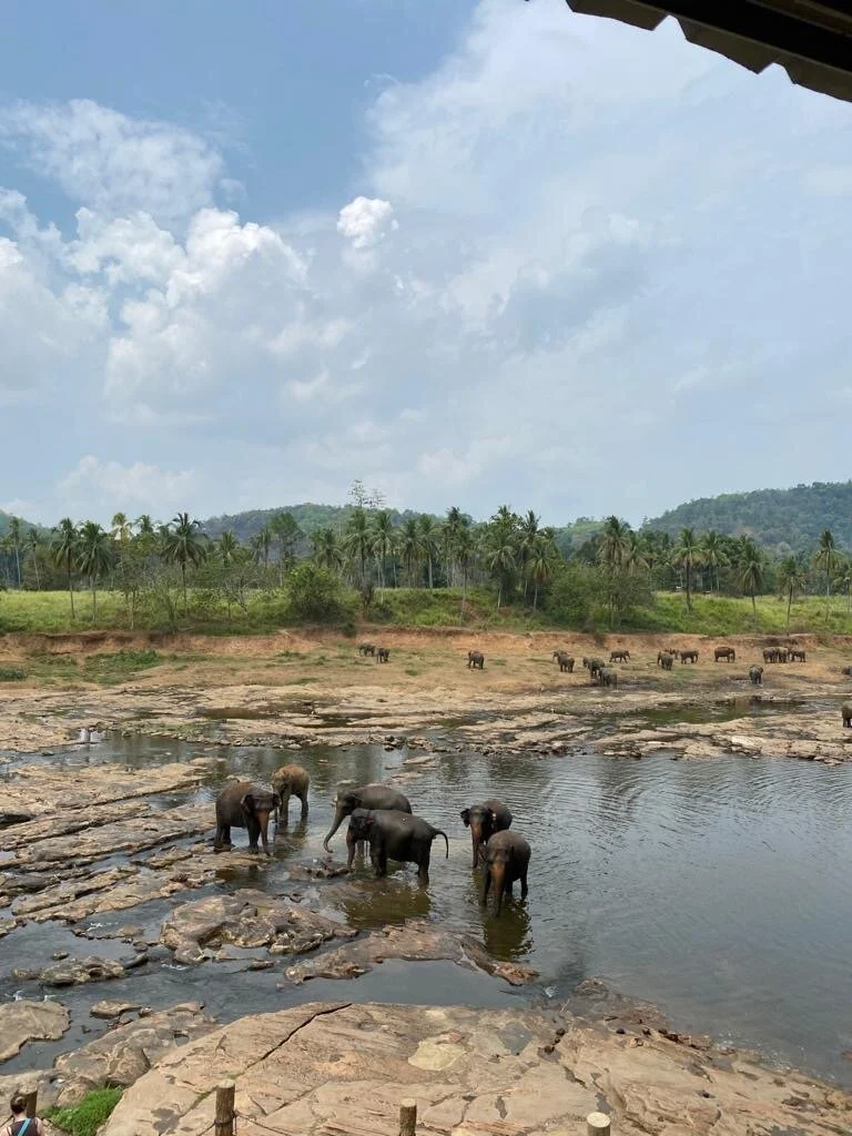 Travel Quiz Sri Lanka с Мартин Македонски