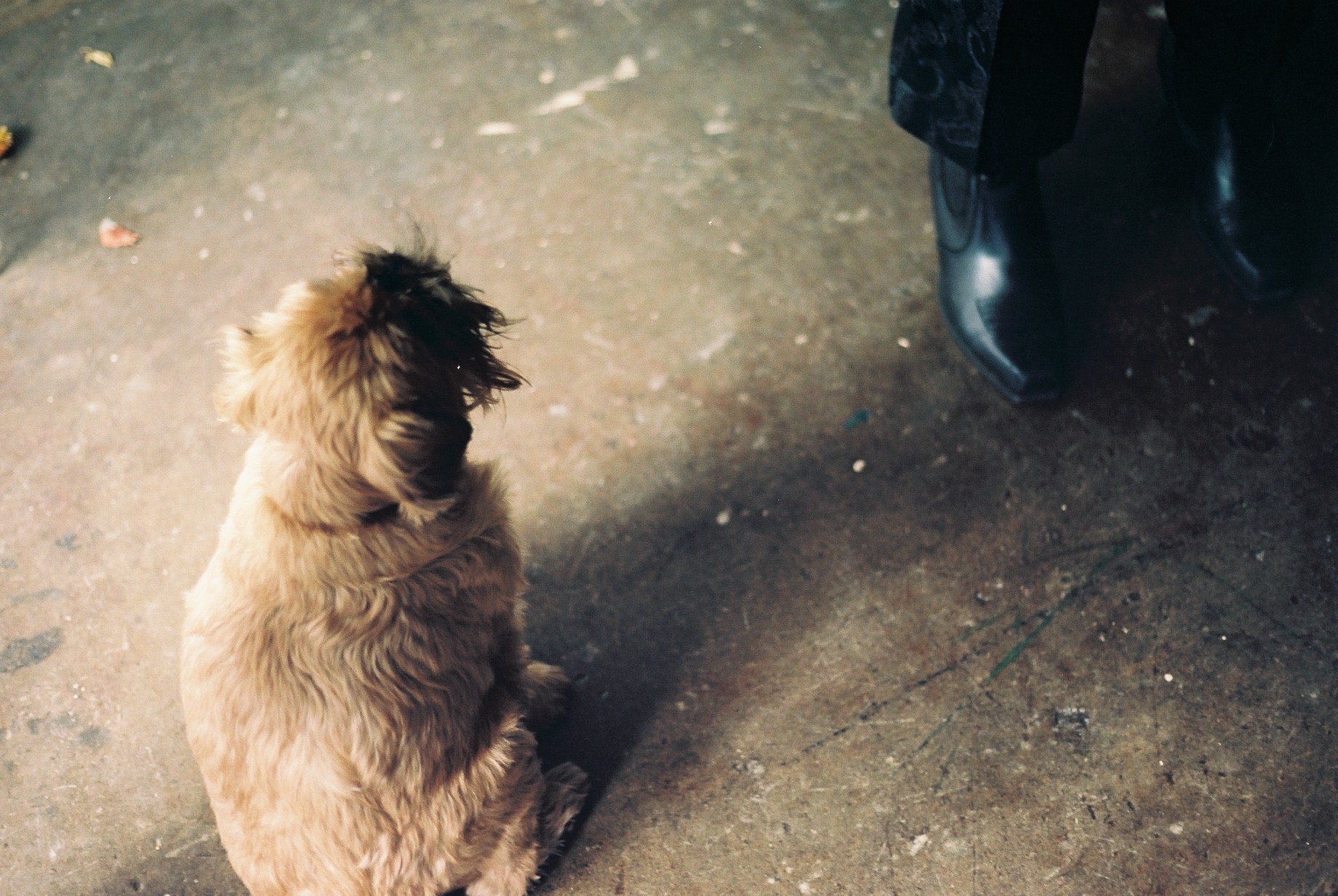 Photograph by Annie Hamilton