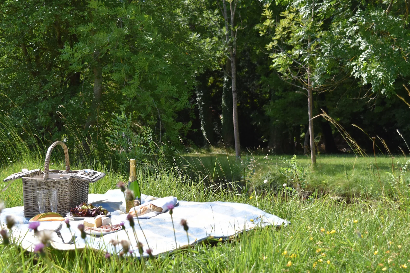 picnic2.jpg
