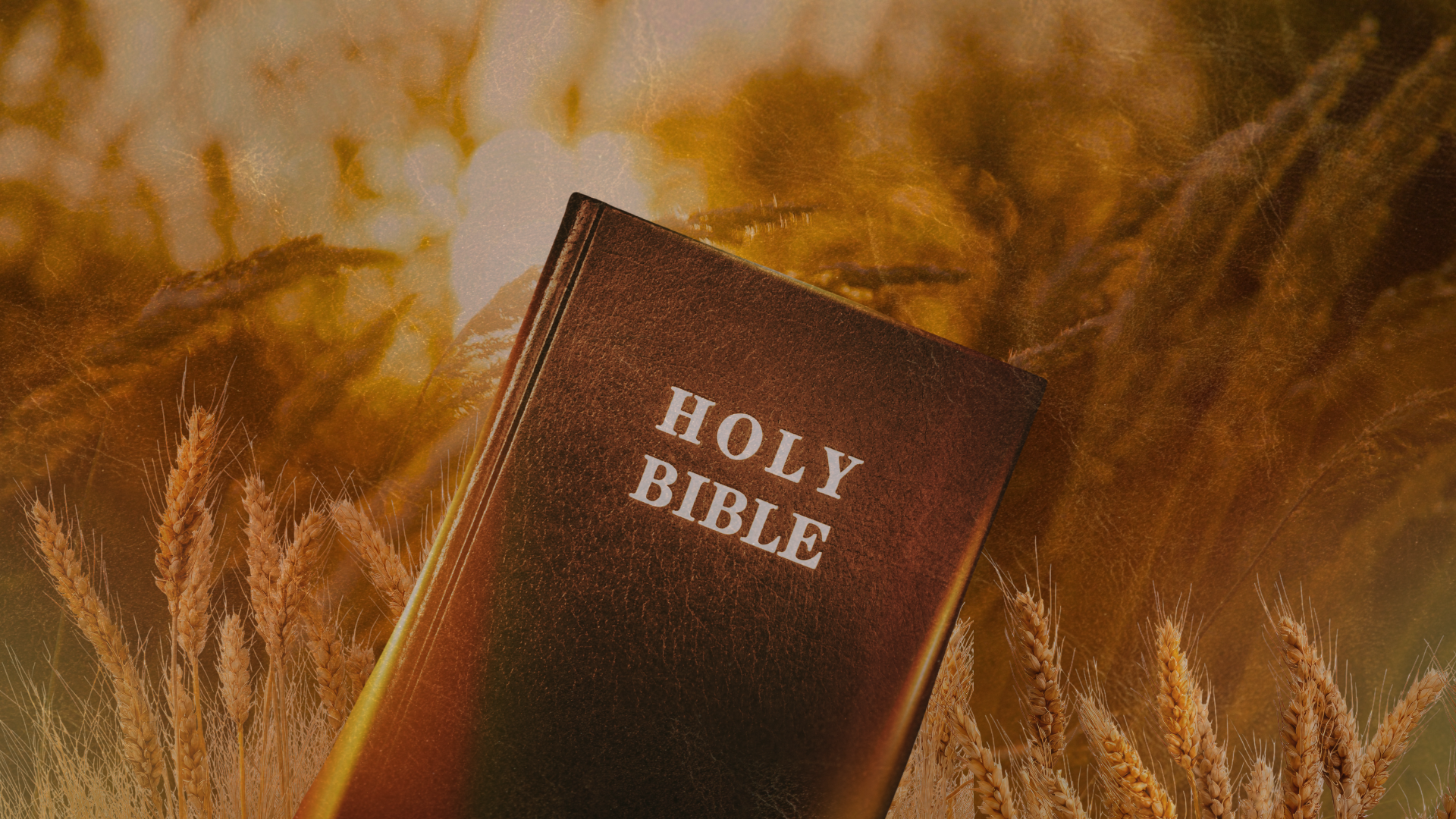 Thirty, Sixty, and a Hundredfold: What Does the Bible Say About Your Harvest?