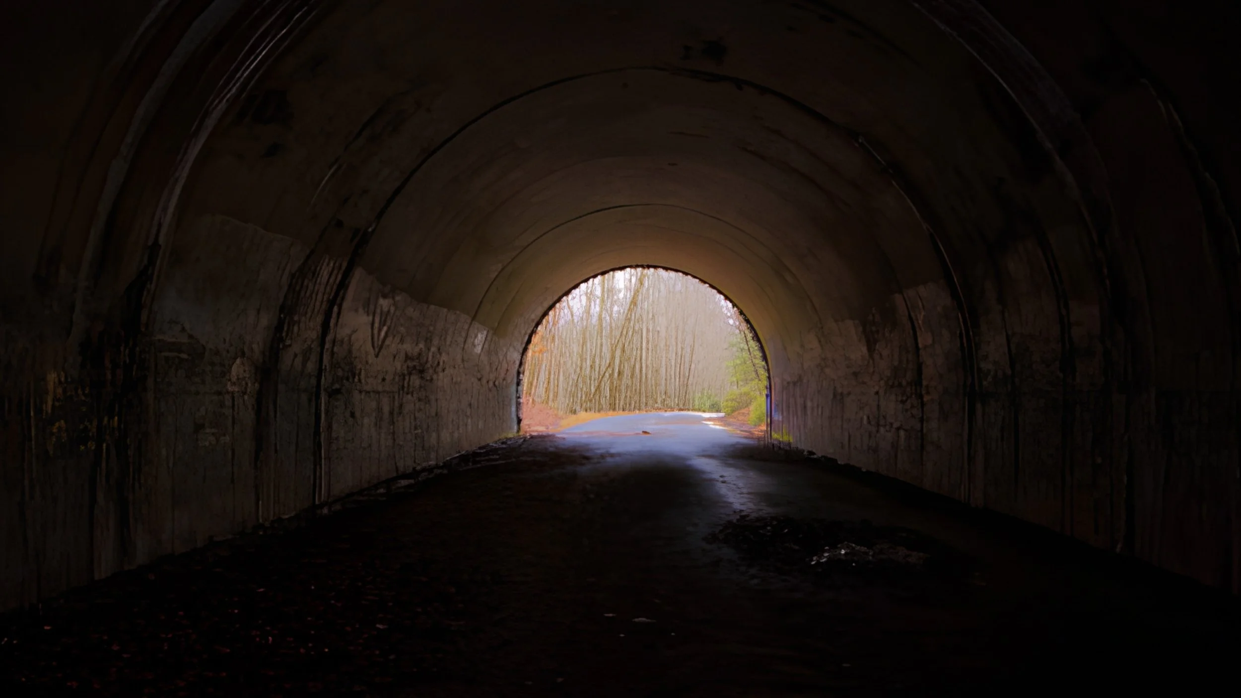 View from inside a dark arched tunnel toward a bright opening, where a road curves through a stand of bare trees.