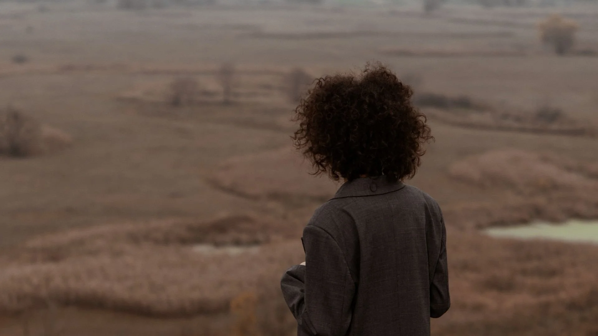 A woman with curly hair, seen from behind in a gray coat, looks out over a wide, hazy field.