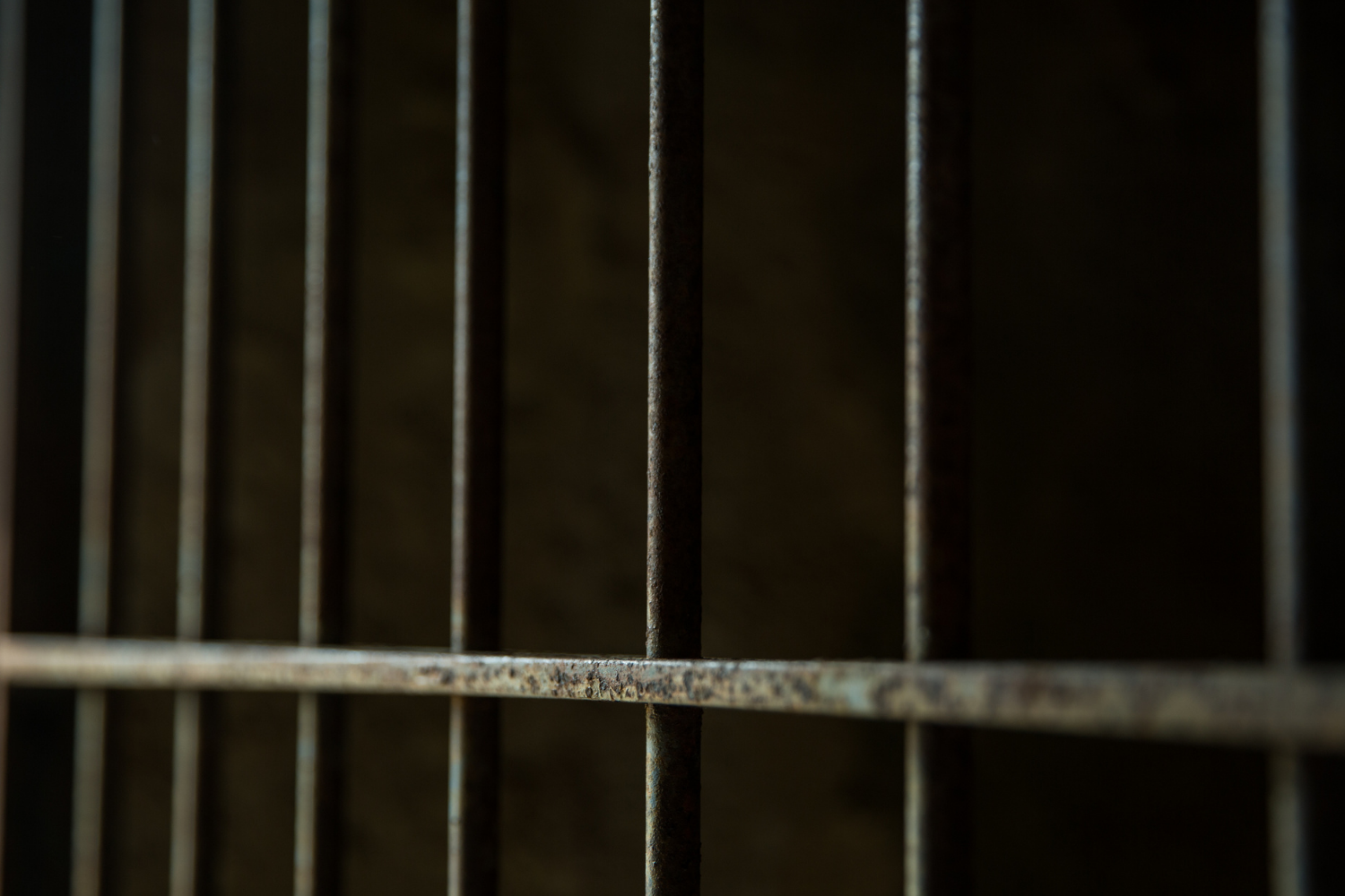 Close-up of rusted iron bars against a dark background, with one vertical bar in sharp focus.