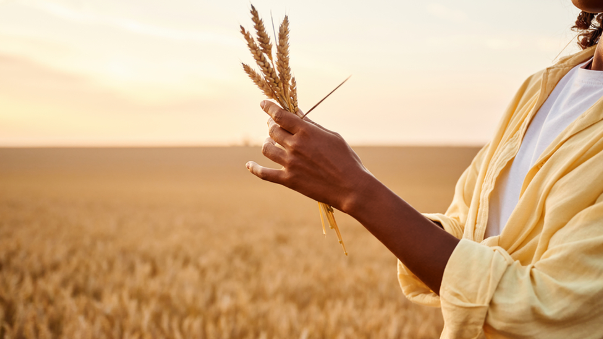 A Black woman in a pale yellow shirt holds a bundle of golden wheat stalks in a harvest field at sunset