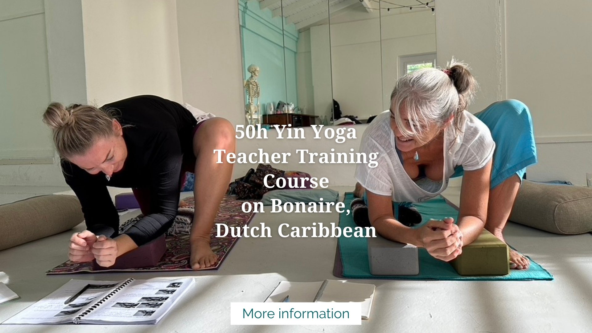 Flow ~ 50h Yang Yoga , Vinyasa flow, TTC on Curacao — Jane Bakx Yoga
