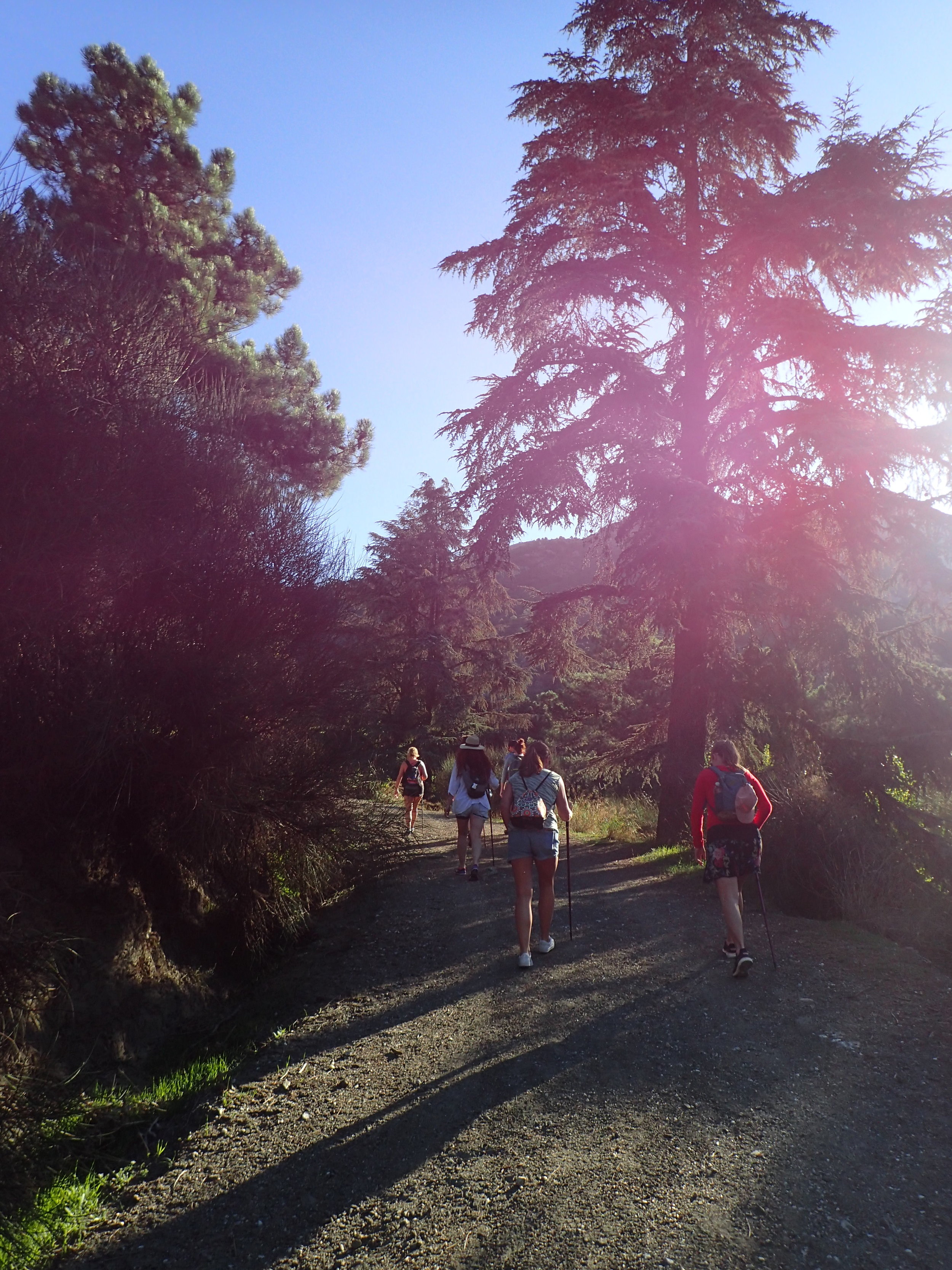 Hike in the woods at a Yoga retreat holiday in the mountains in Spain with Jane Bakx Yoga
