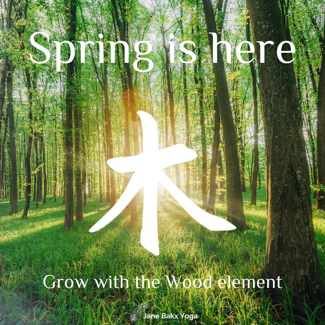 SPRING IS HERE

The 20th of March marks the official start of spring.
In Traditional Chinese Medicine (TCM) this season embraces the Wood element and this represents the Liver and Gallbladder meridians.

Spring is a period marked by growth and the mo