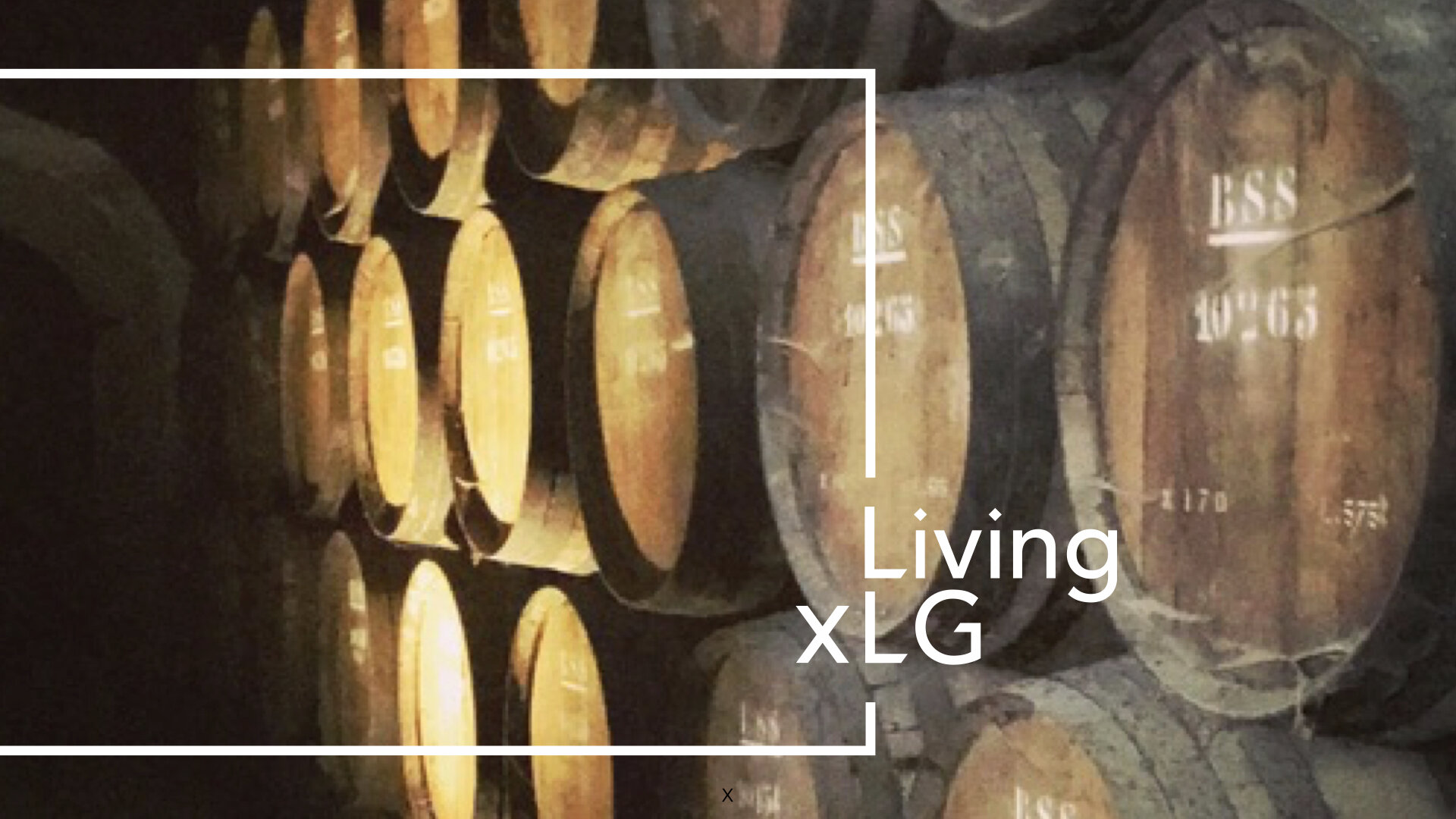 LivingxLG Website 2.0 _WineBarrels.001.jpeg