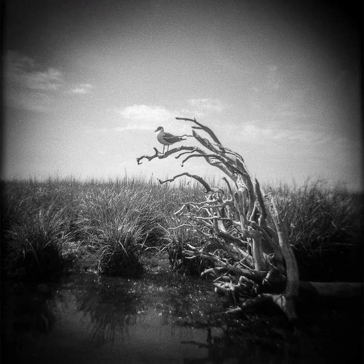 Photography instructor’s work on display in Colorado, Vermont