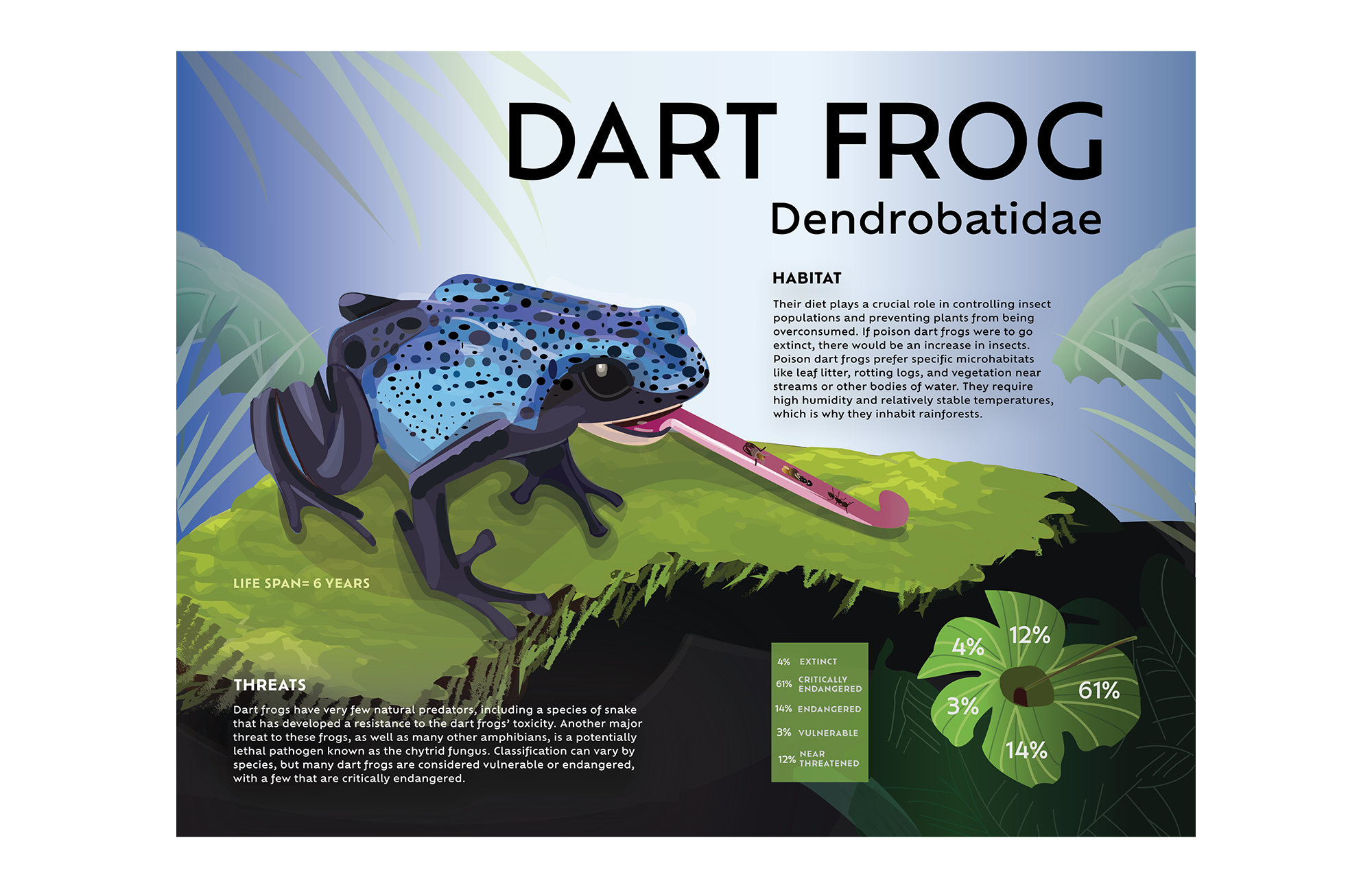 dartfrog_hornburg.png