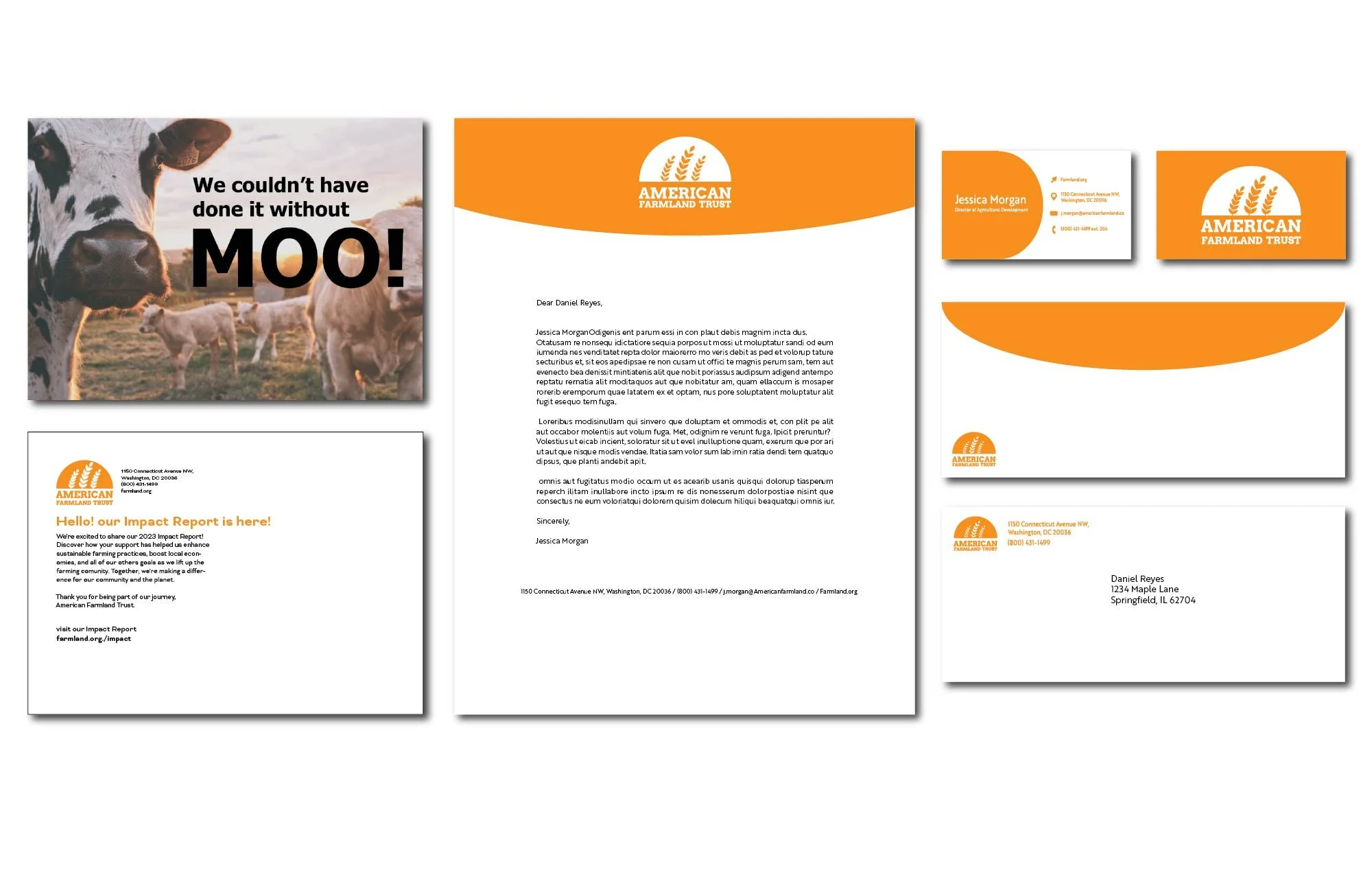 Reitnour_web_portfolio-06.jpg