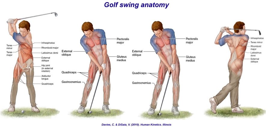 Unlock Your Golfing Potential: Why Every Golfer Should Partner with a Physical  Therapist