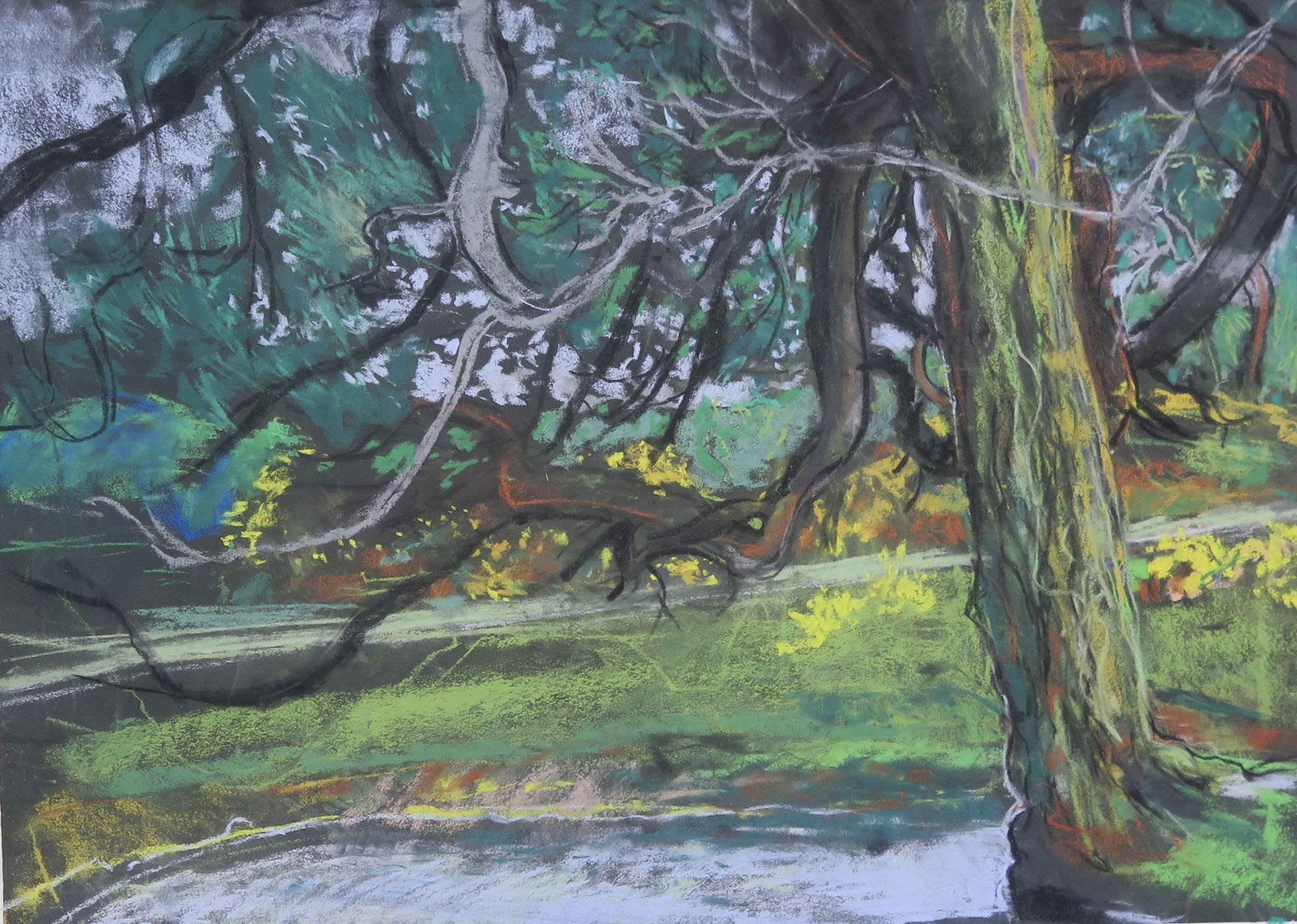 Twisted Boughs