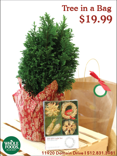 Trees_Promo_BACK1.jpg