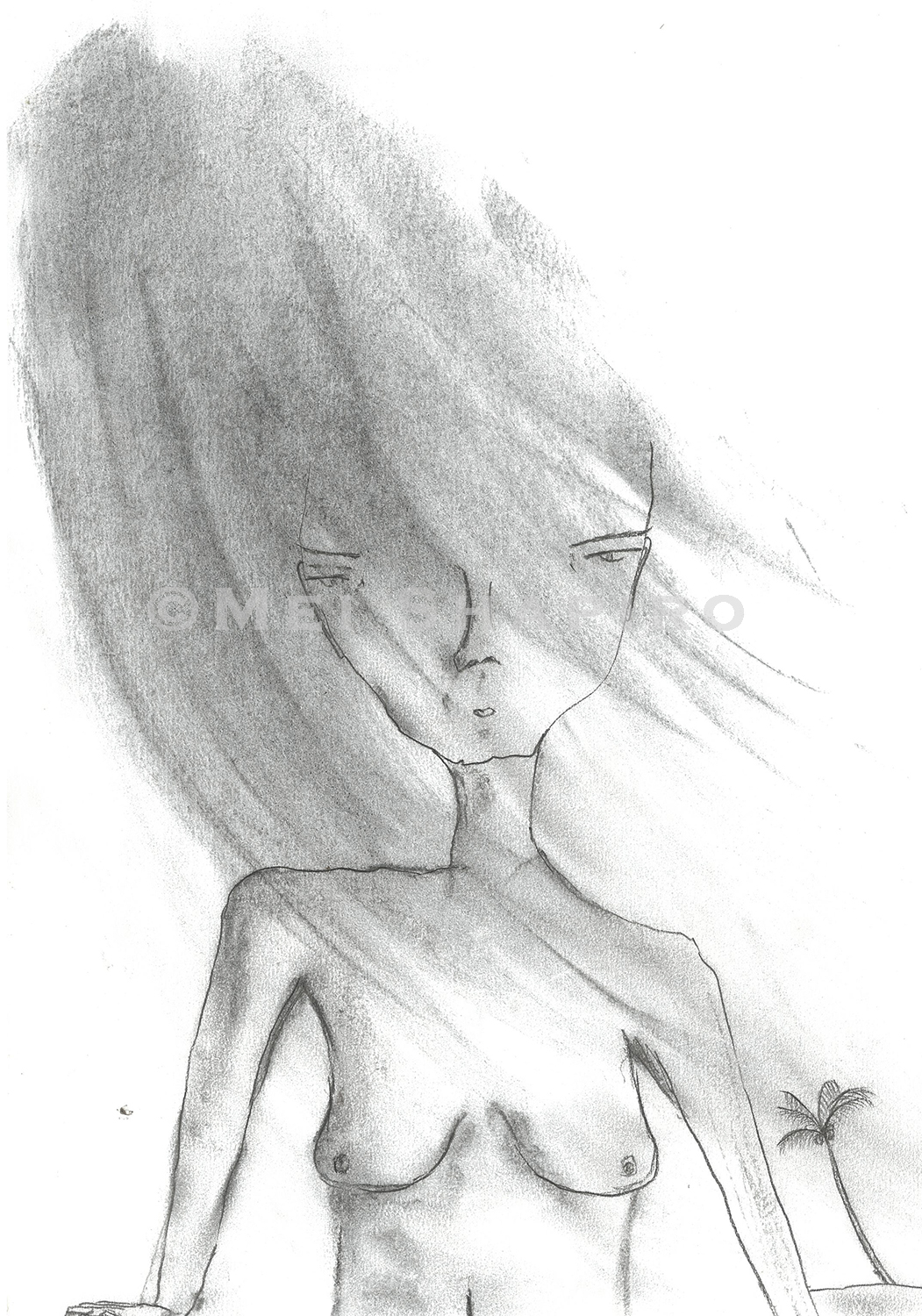 veiled@.jpg