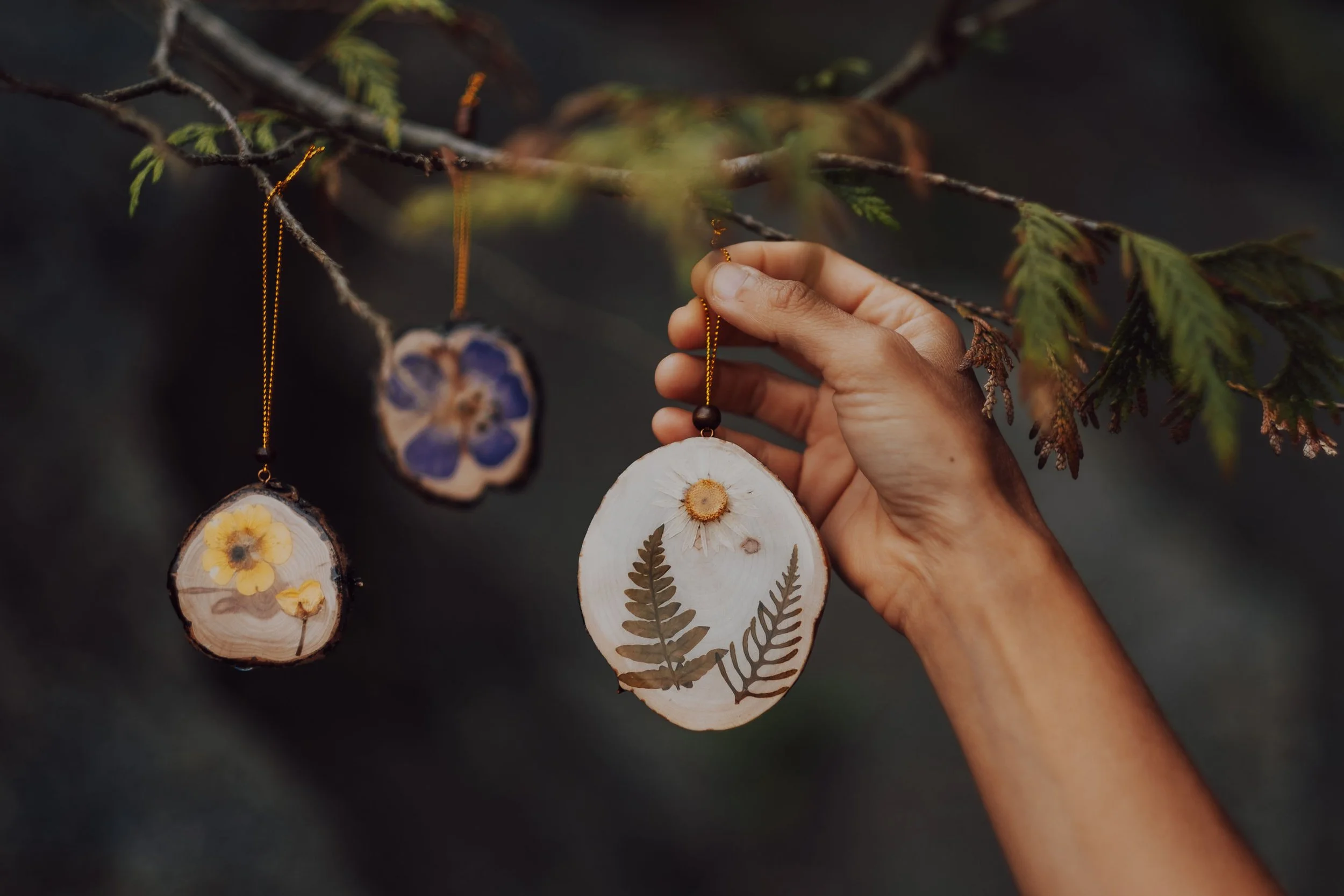 double sided ornaments.jpg