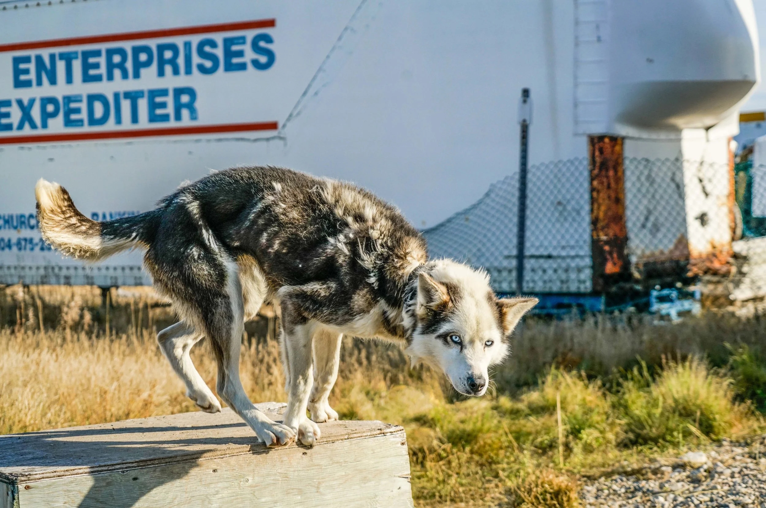 ERPSquareSpace-131.jpg