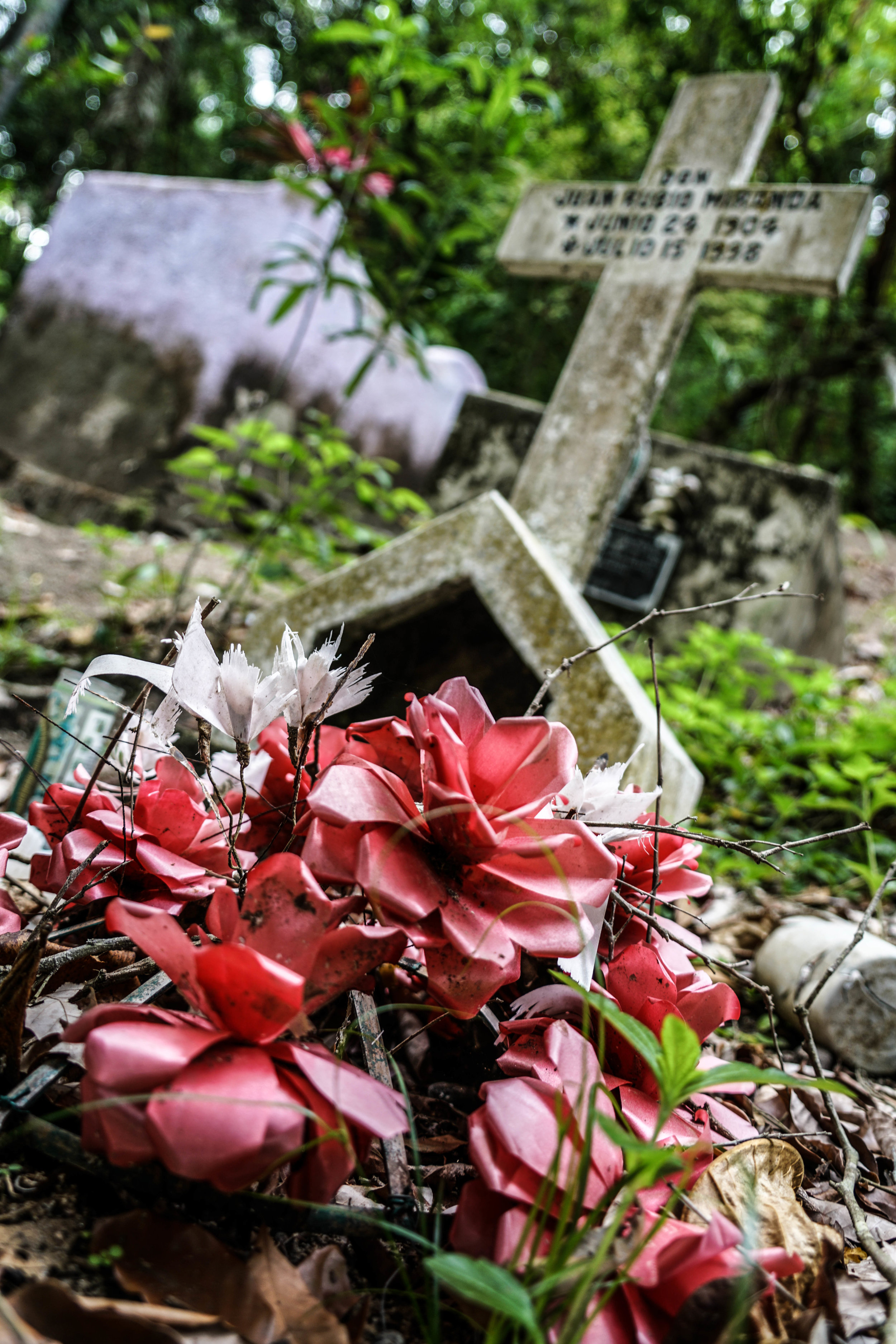ERPSquareSpace-114.jpg