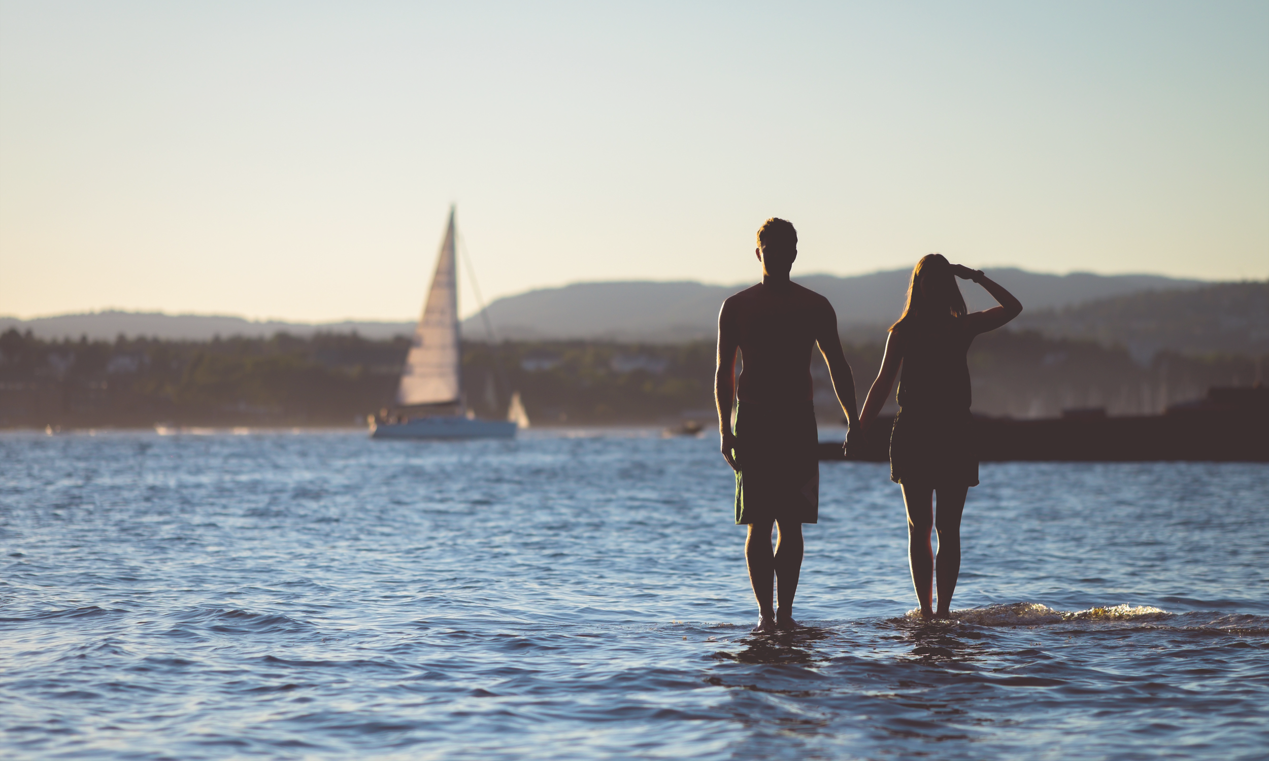 pexels-photo-491443.png