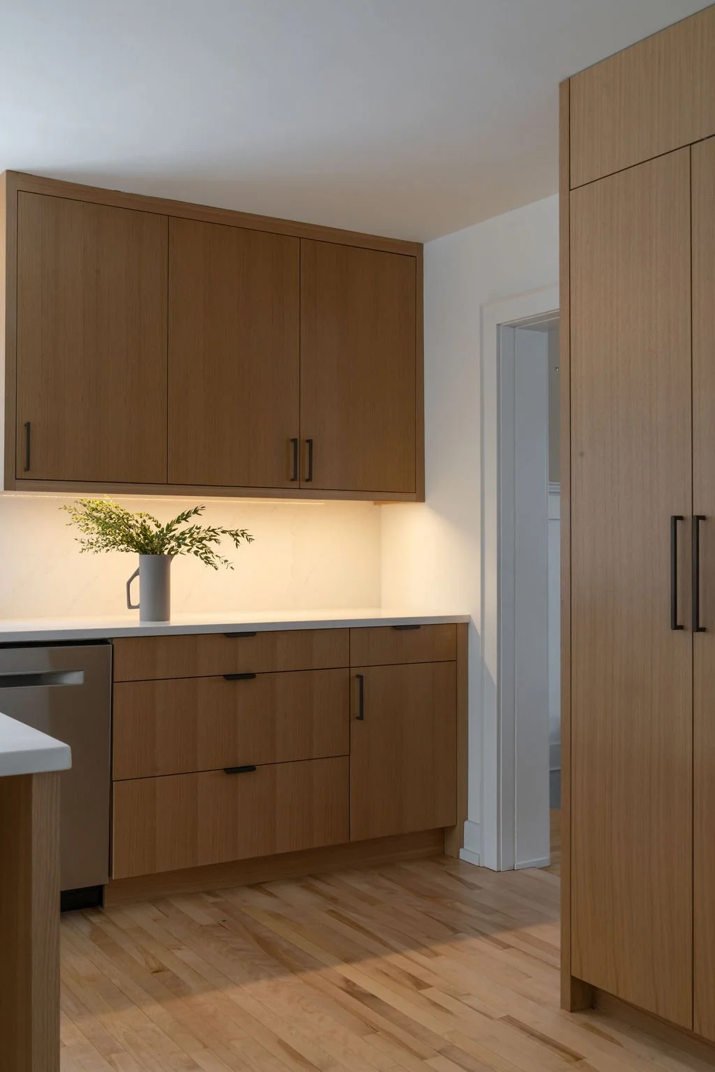 tusk-builders-remodeling-company-modern-kitchen-renovation-minneapolis-stpaul-8.jpg