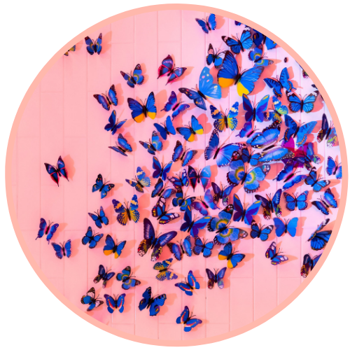 Untitled design (6).png