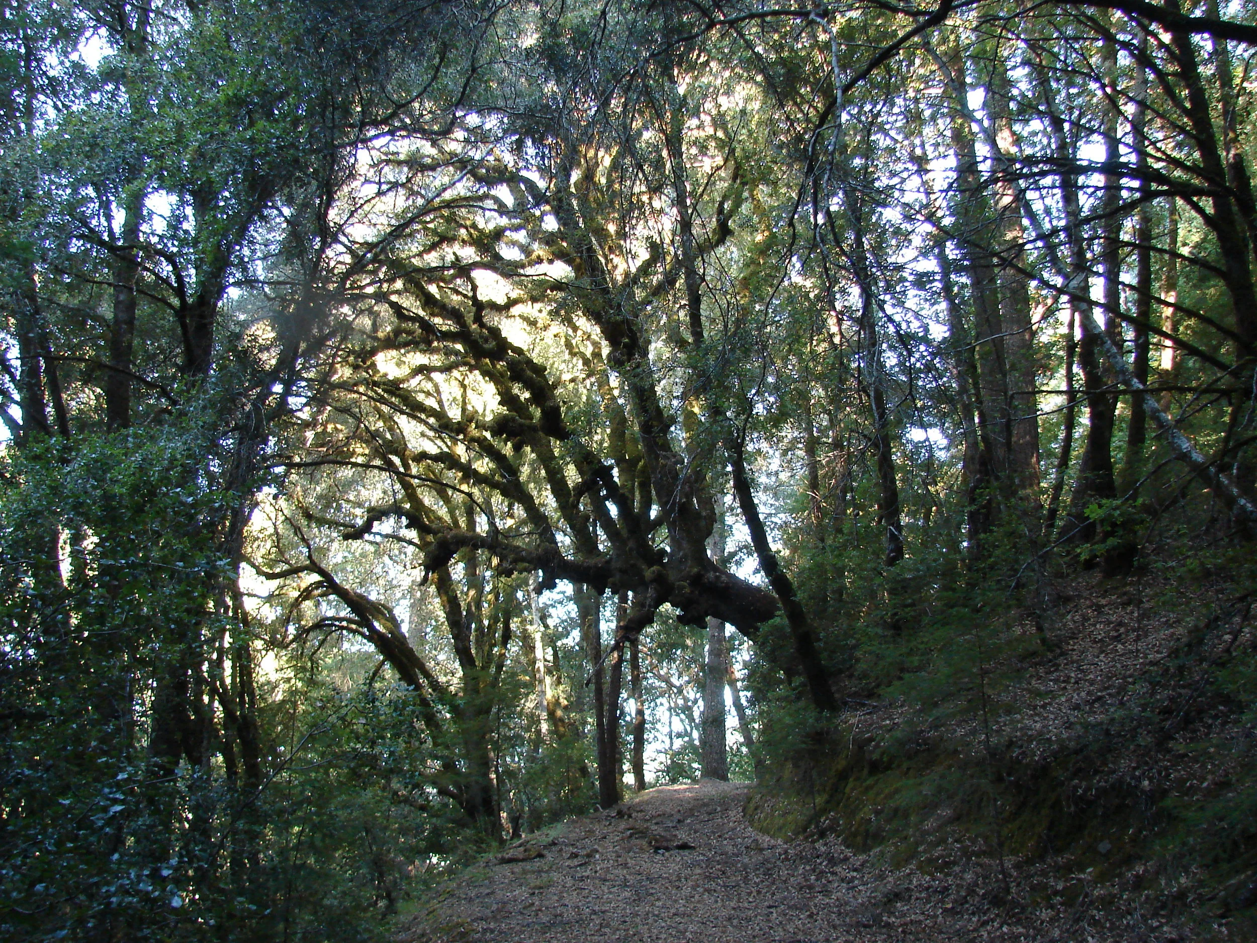 DSC00029.JPG