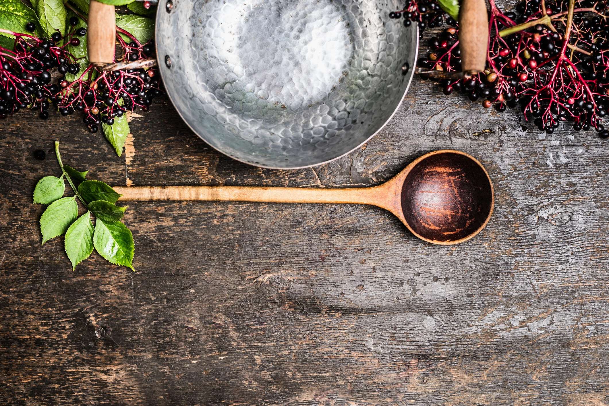 elderberry